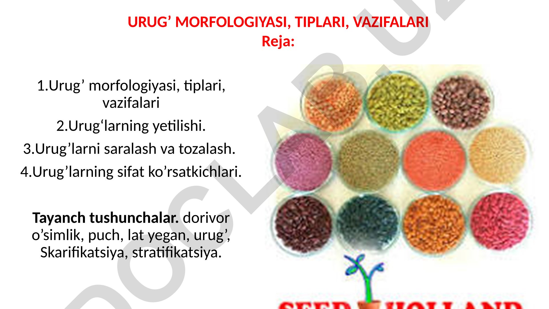 Urug' morfologiyasi, tiplari, vazifalari va sifat ko'rsatkichlari