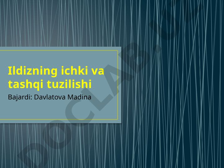 Ildizning ichki va tashqi tuzilishi