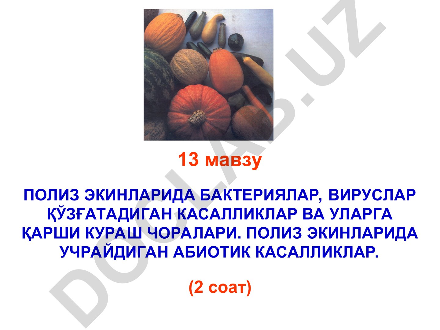 Полиз экинларида бактериялар, вируслар қўзғатадиган касалликлар ва уларга қарши кураш чоралари