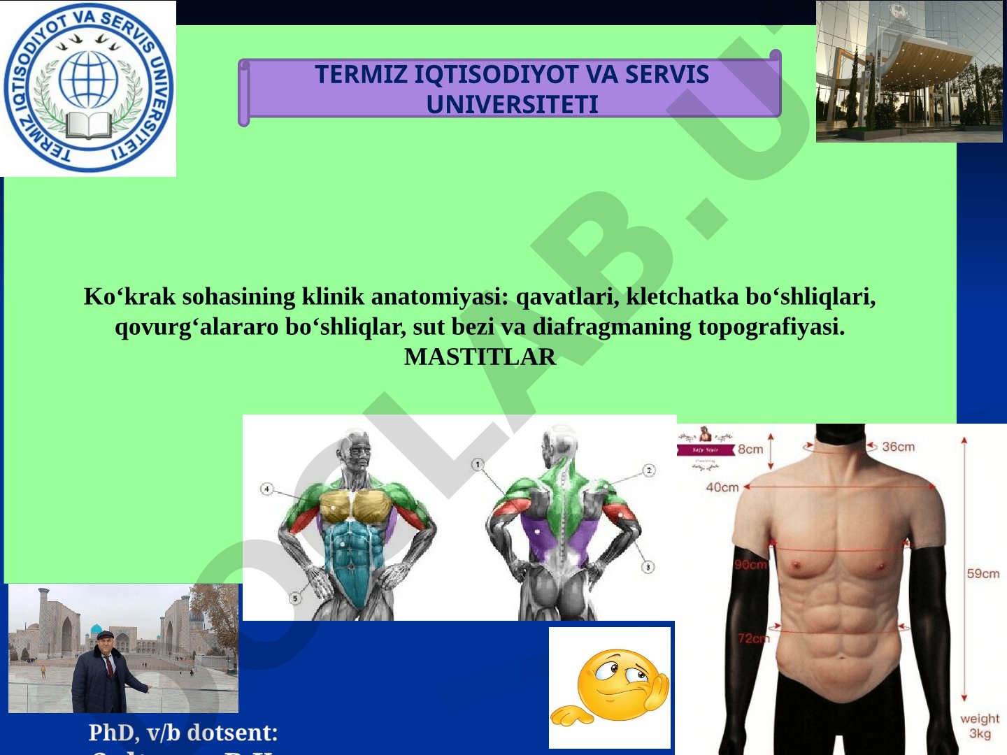 Ko‘krak sohasining klinik anatomiyasi: qavatlari, kletchatka bo‘shliqlari, qovurg‘alararo bo‘shliqlar, sut bezi va diafragmaning topografiyasi. Mastitlar
