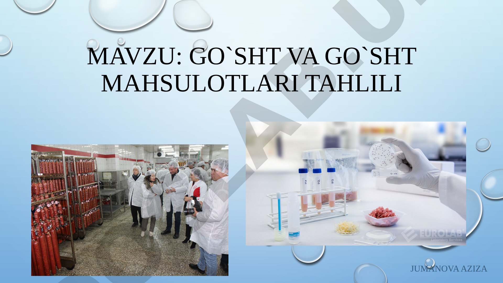 go`sht va go`sht mahsulotlari tahlili