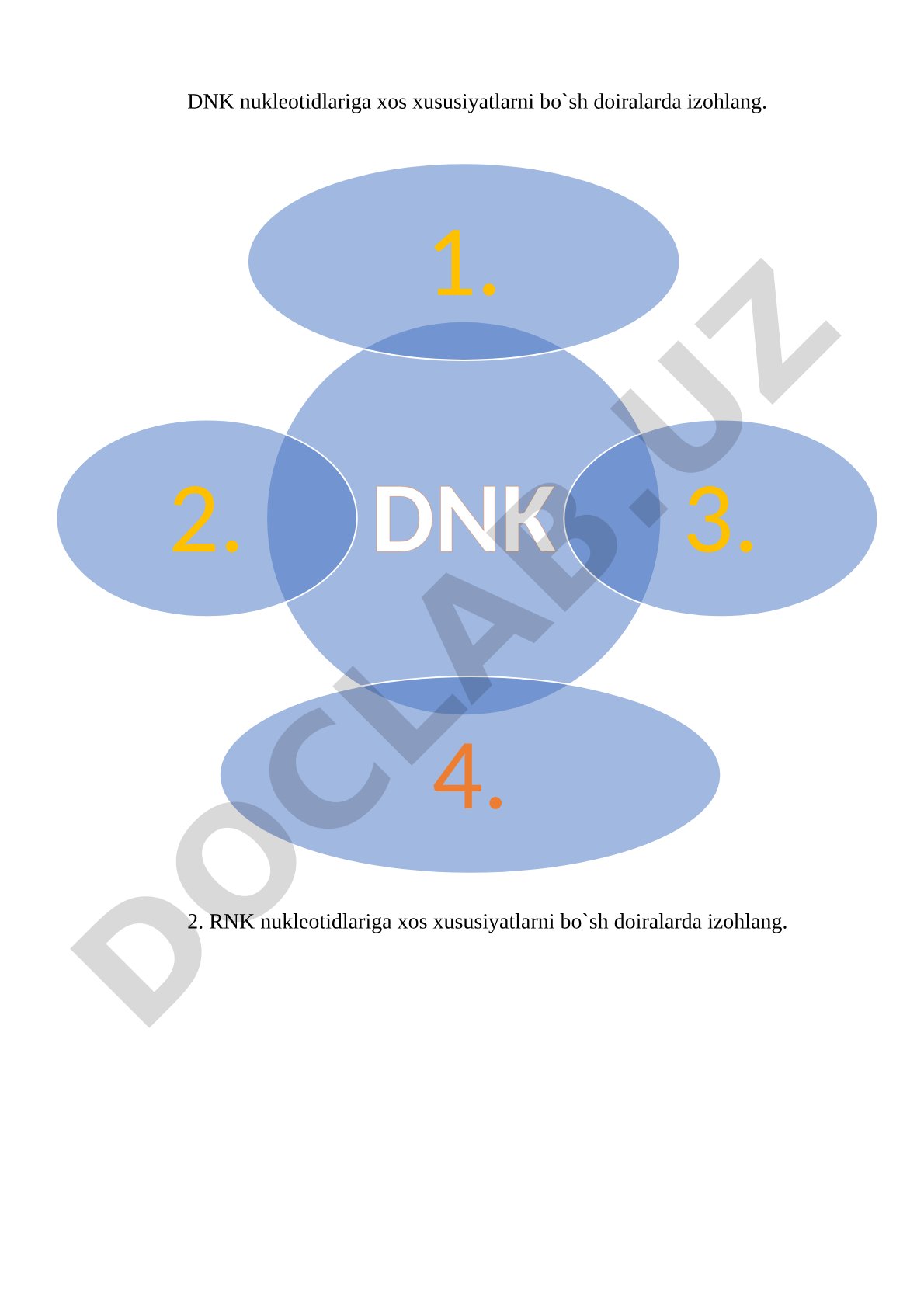 DNK va RNK nukleotidlari xususiyatlari, xromatin oqsillari