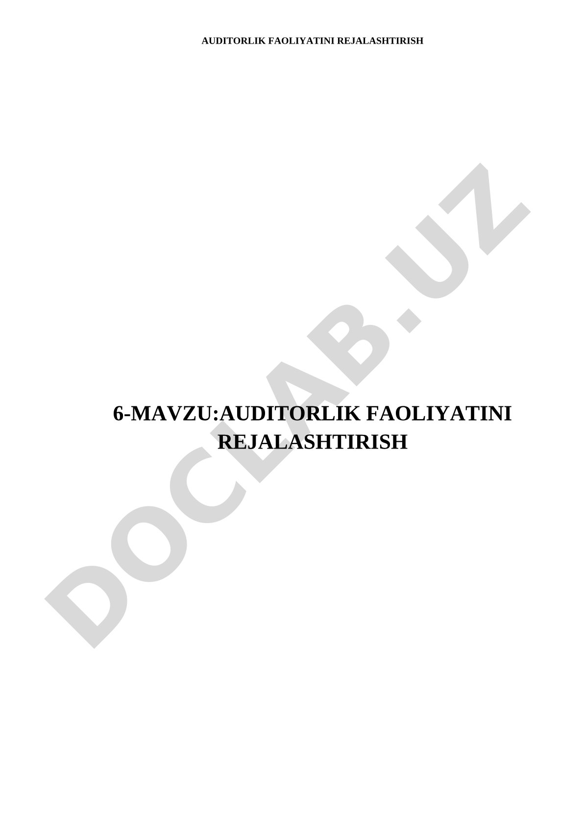 Auditorlik faoliyatini rejalashtirish