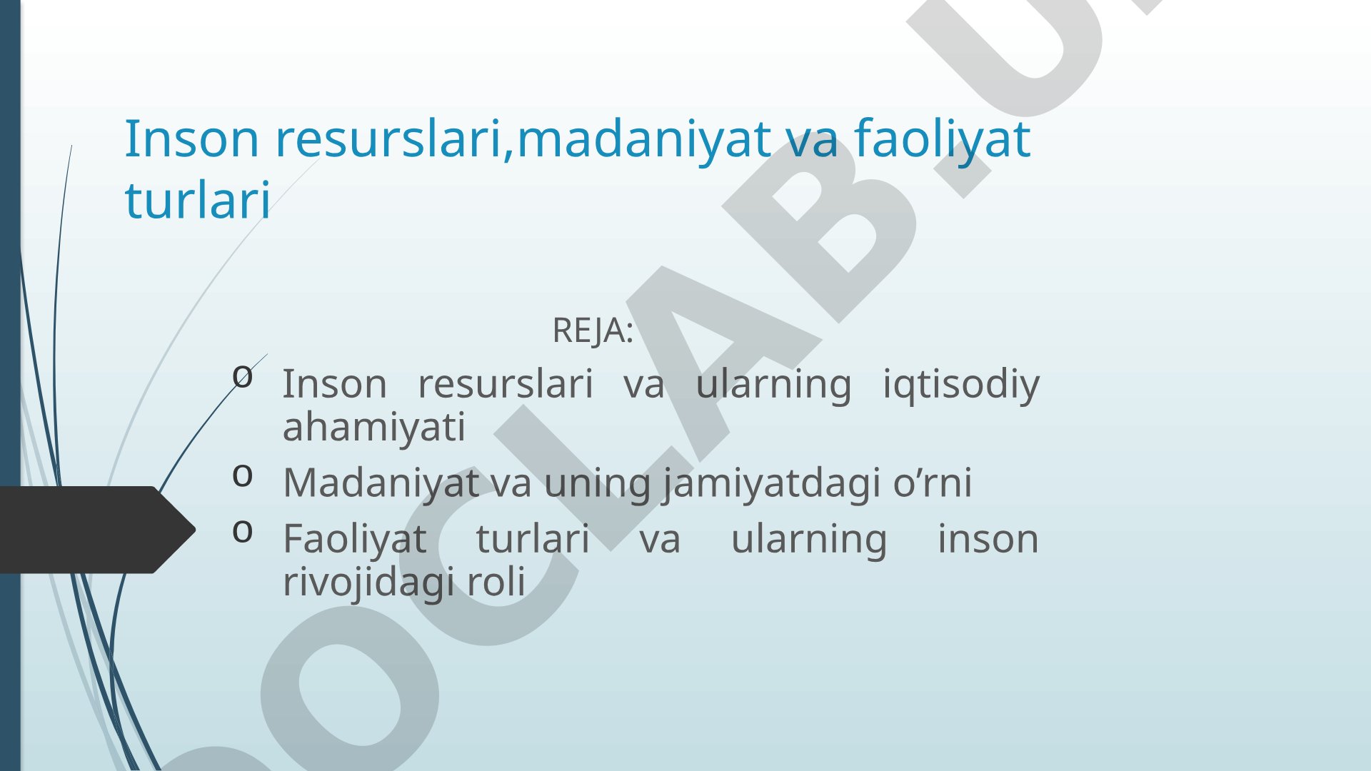 Inson resurslari, madaniyat va faoliyat turlari