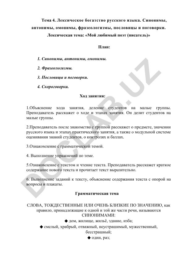 Лексическое богатство русского языка: синонимы, антонимы, омонимы, фразеологизмы, пословицы и поговорки