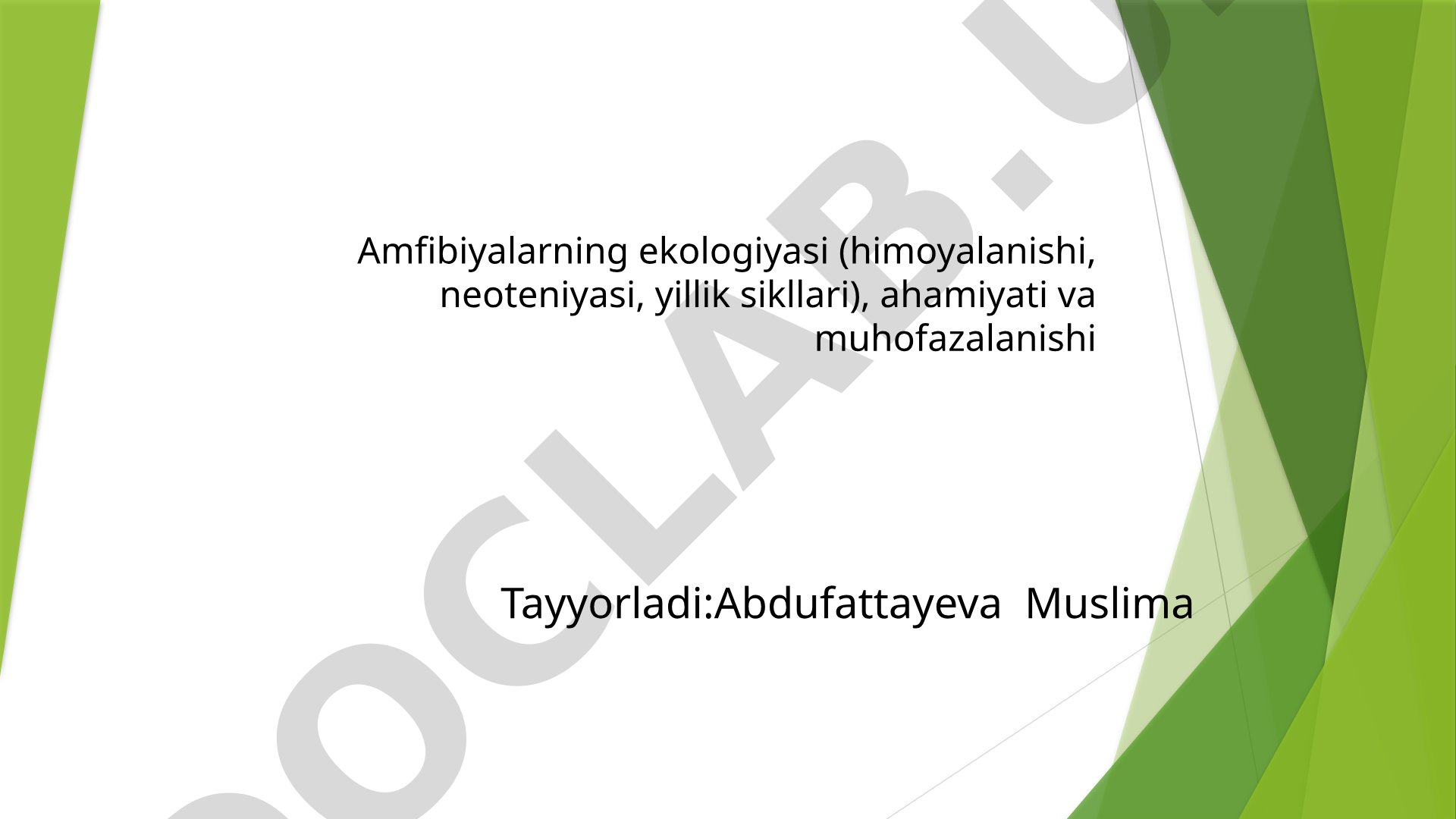 Amfibiyalarning ekologiyasi (himoyalanishi, neoteniyasi, yillik sikllari), ahamiyati va muhofazalanishi