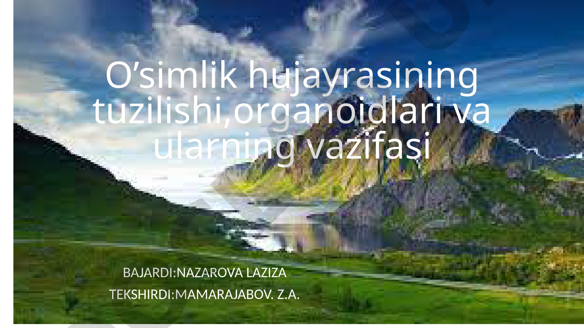 O’simlik hujayrasining tuzilishi,organoidlari va ularning vazifasi