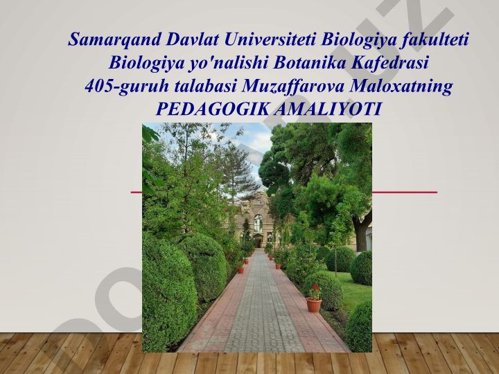 Vatanimiz xaritasi yonida