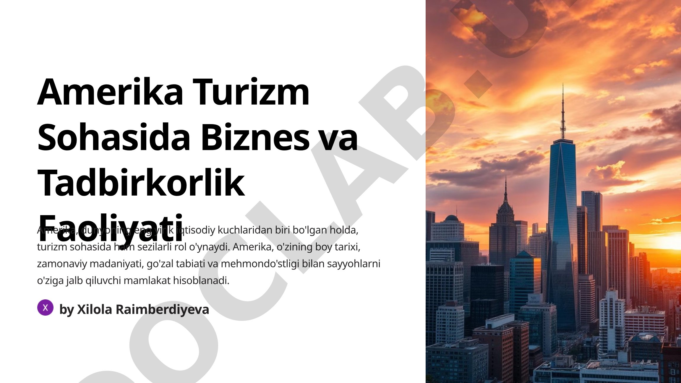 Amerika Turizm Sohasida Biznes va Tadbirkorlik Faoliyati