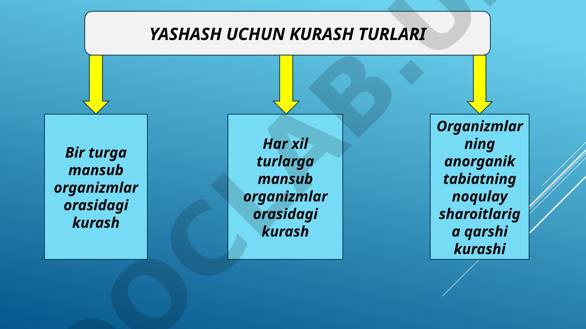 Yashash uchun kurash va uning turlari