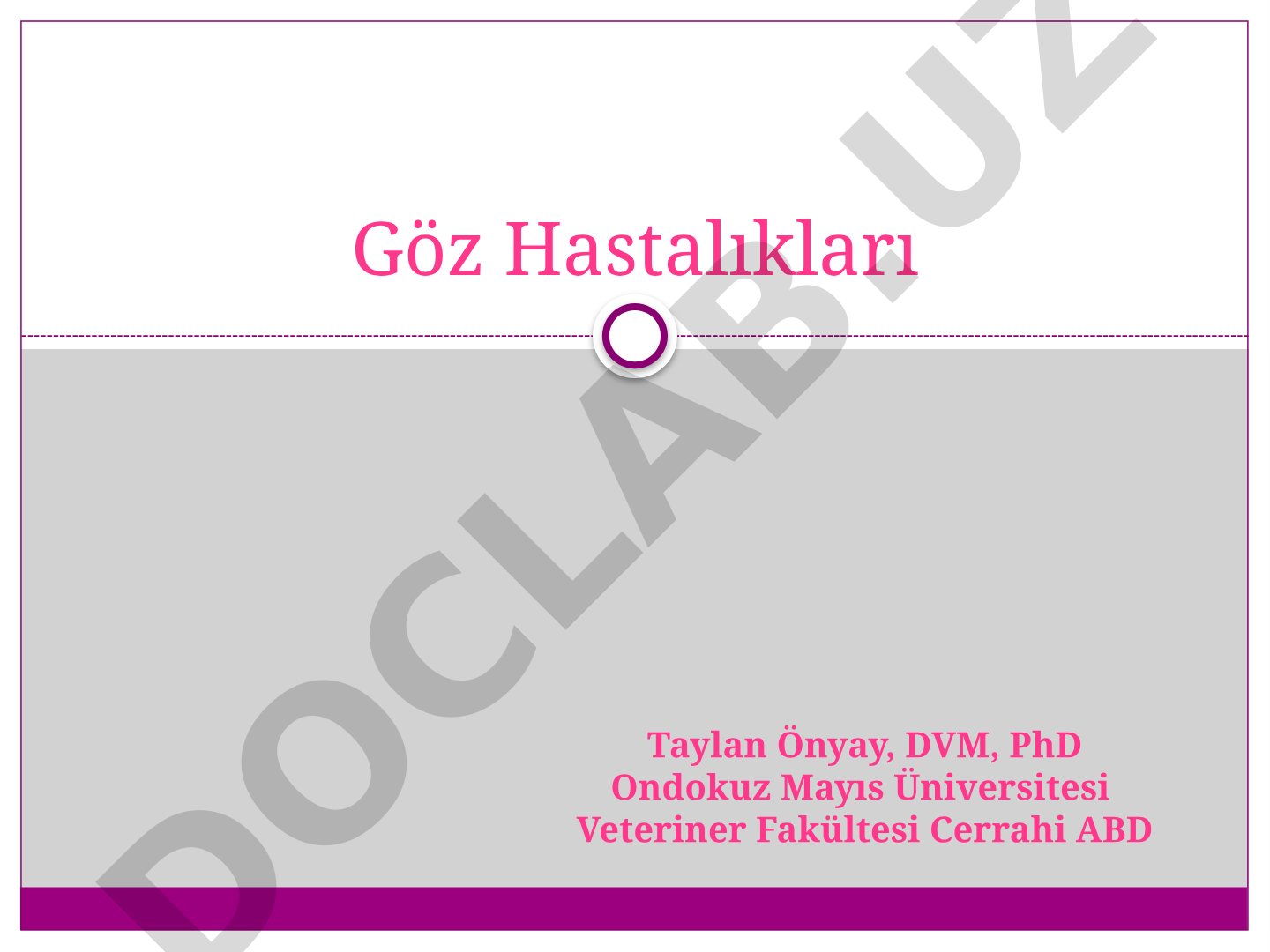 Veteriner göz hastalıkları: anatomi, görme kusurları, doğuştan anomaliler