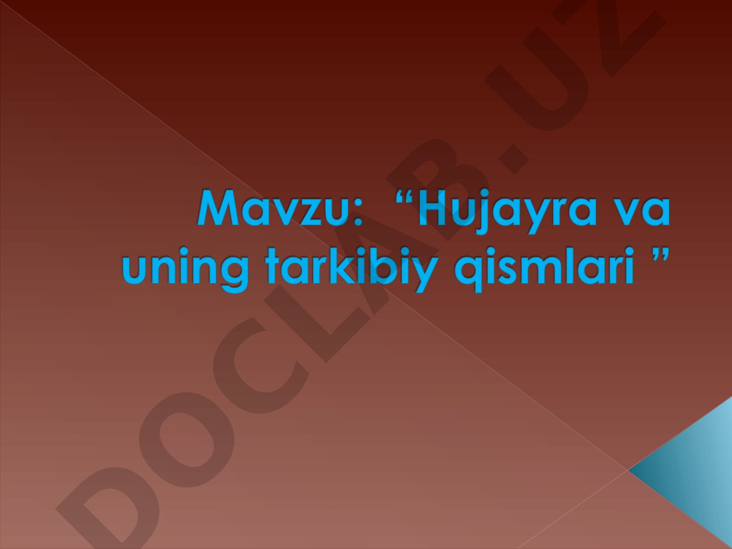 O'simlik va hayvon hujayralarida endoplazmatik to'r va ribosomalar