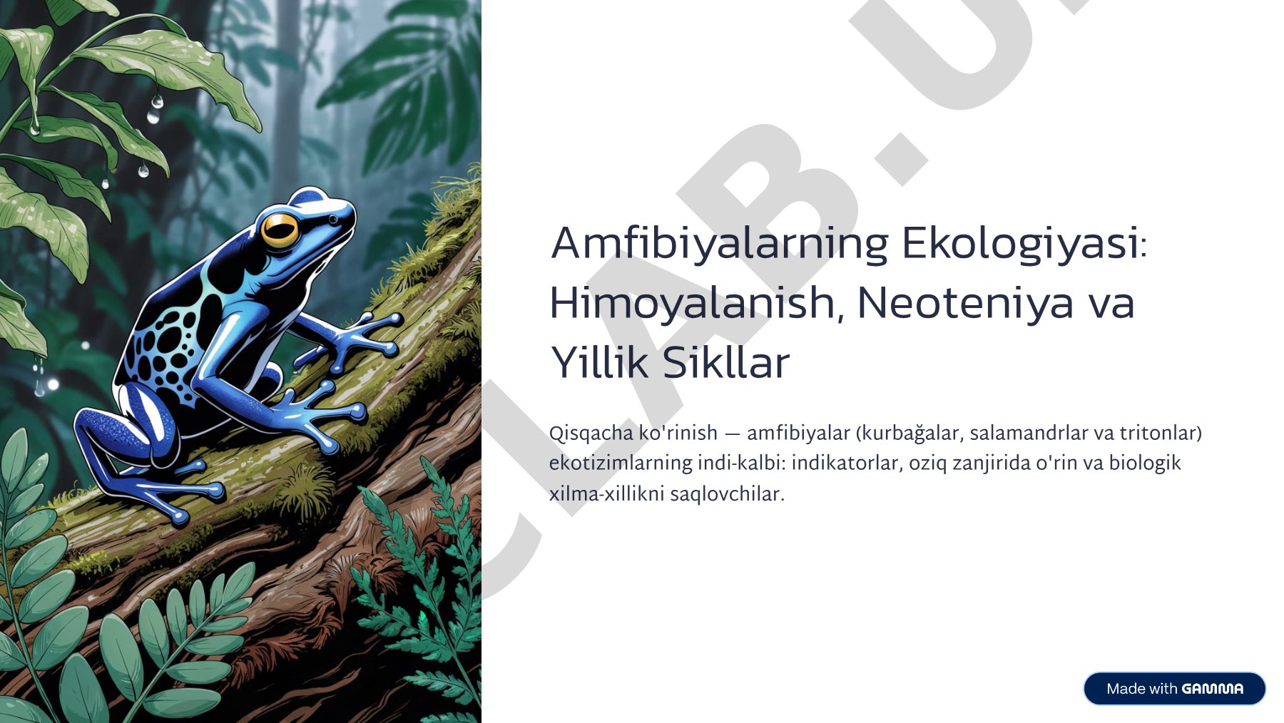 Amfibiyalarning Ekologiyasi: Himoyalanish, Neoteniya va Yillik Sikllar