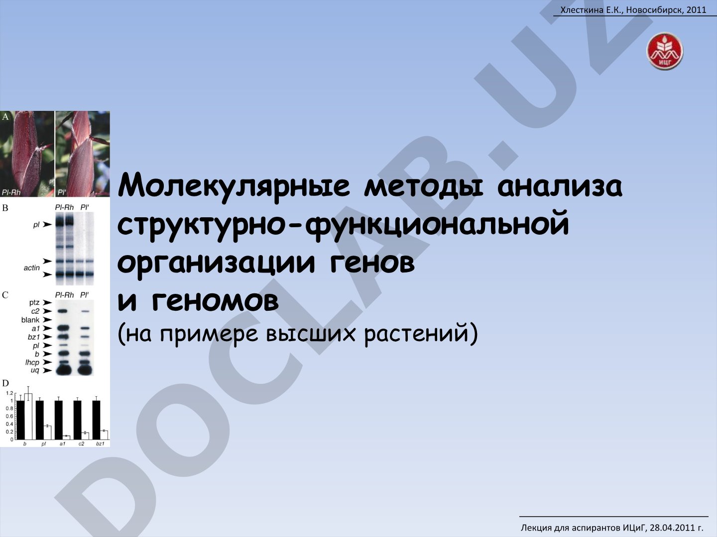 Молекулярные методы анализа структурно-функциональной организации генов и геномов (на примере высших растений)