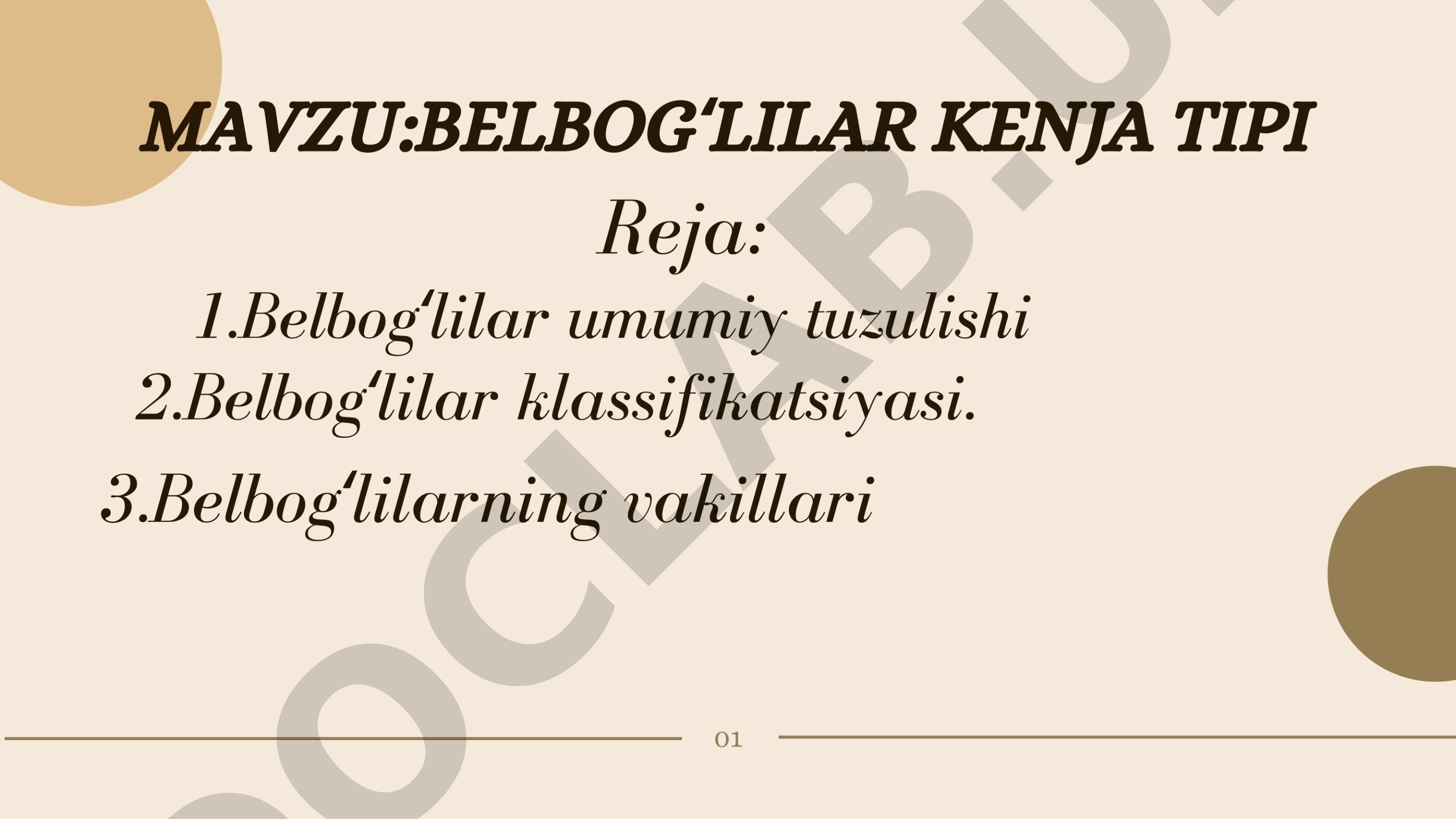 Umurtqasizlar zoologiyasi fanidan tayyorlangan taqdimot