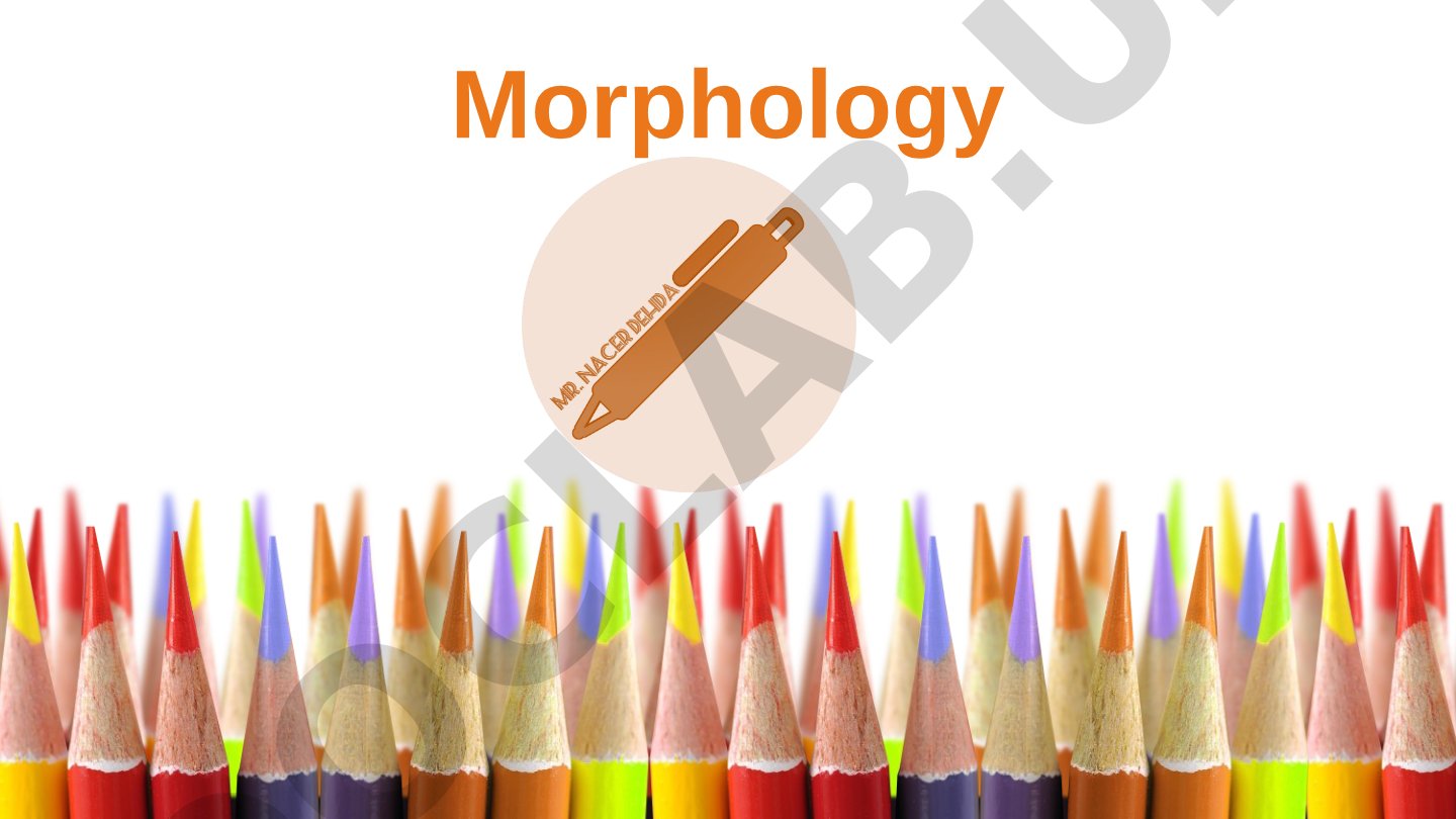 Morphological Classification: Types of Morphemes
