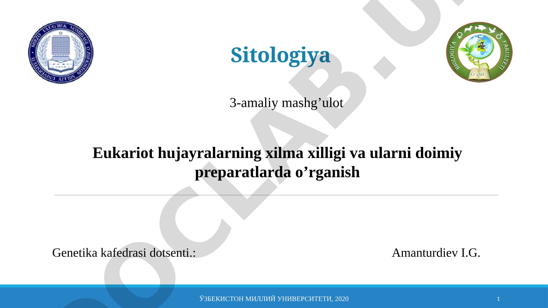 Eukariot hujayralarning xilma-xilligi va doimiy preparatlarda o'rganish