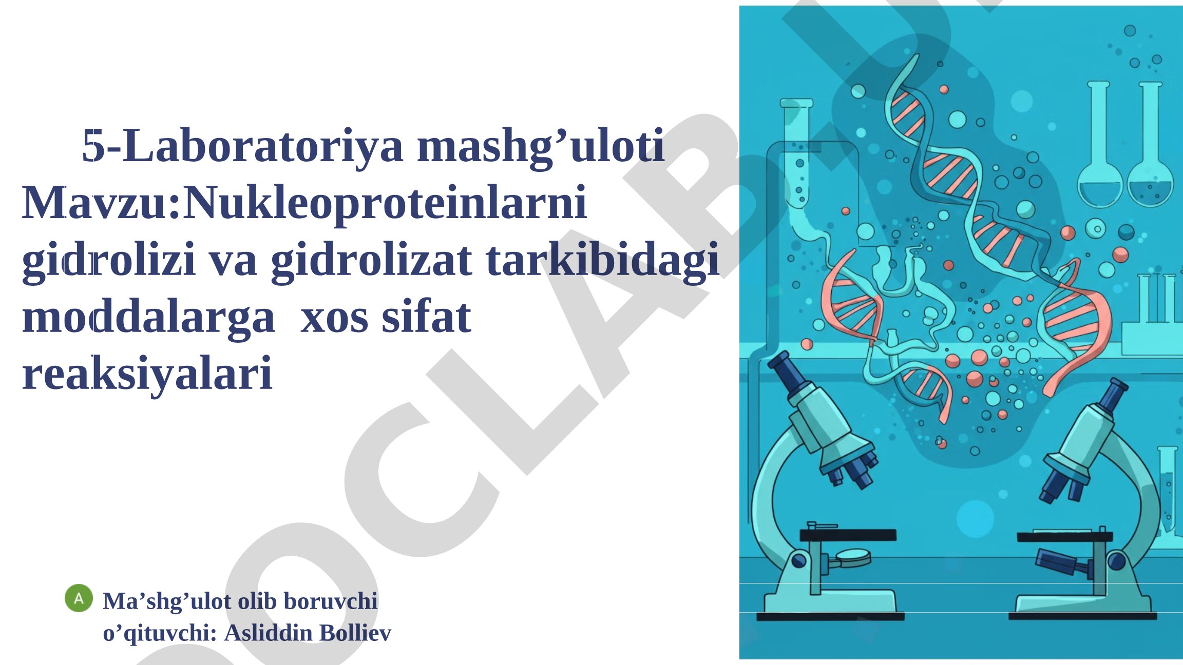 Nukleoproteinlarni gidrolizi va gidrolizat tarkibidagi moddalarga xos sifat reaksiyalari