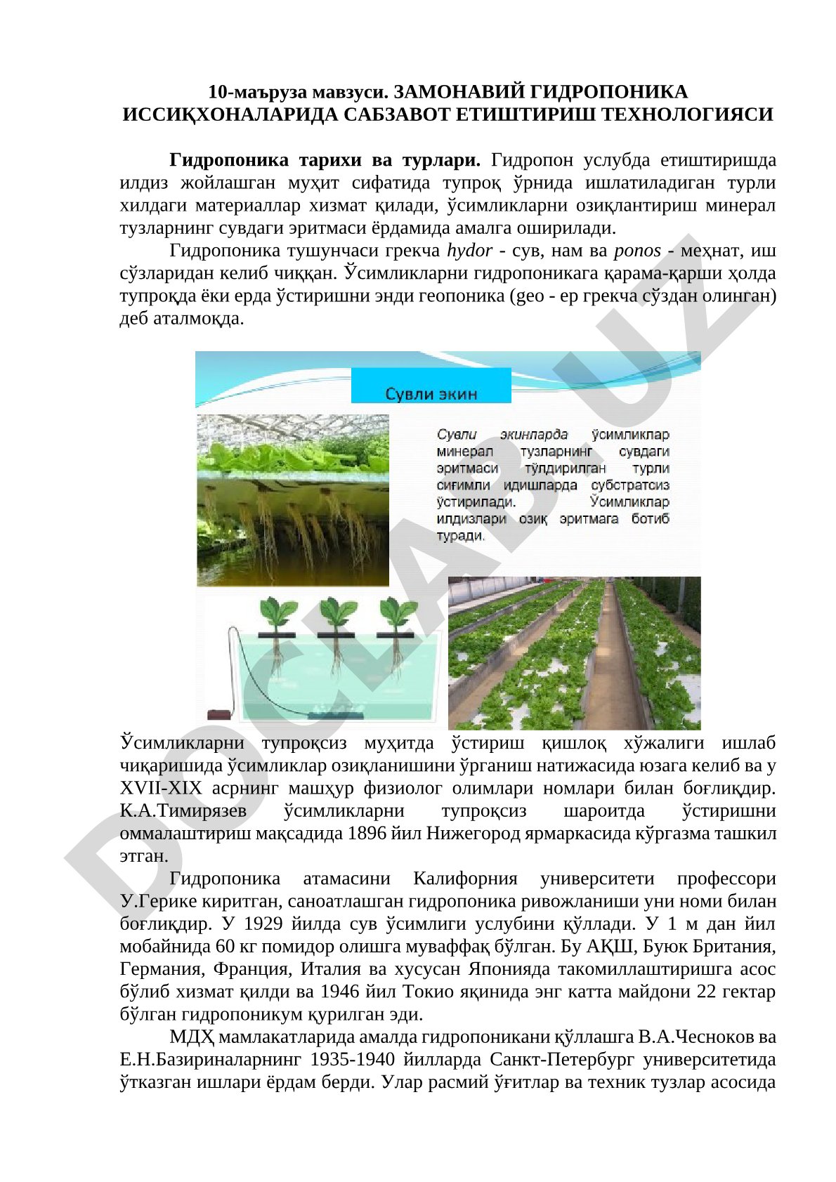 Замонавий гидропоника иссиқхоналарида сабзавот етиштириш технологияси