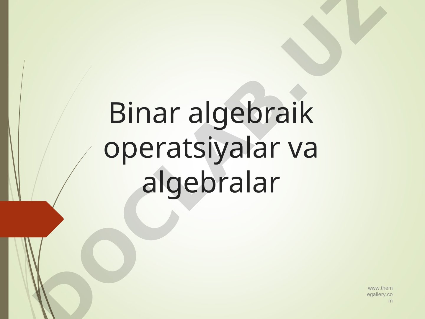 Binar algebraik operatsiyalar va algebralar