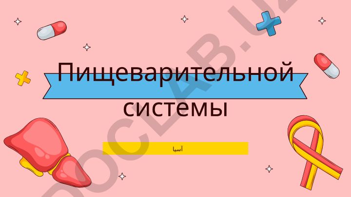 Пищеварительная система человека: структура, функции и заболевания