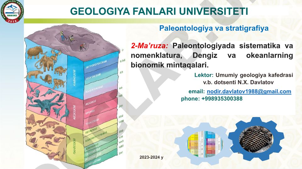 Paleontologiyada sistematika va nomenklatura, Dengiz va okeanlarning bionomik mintaqalari