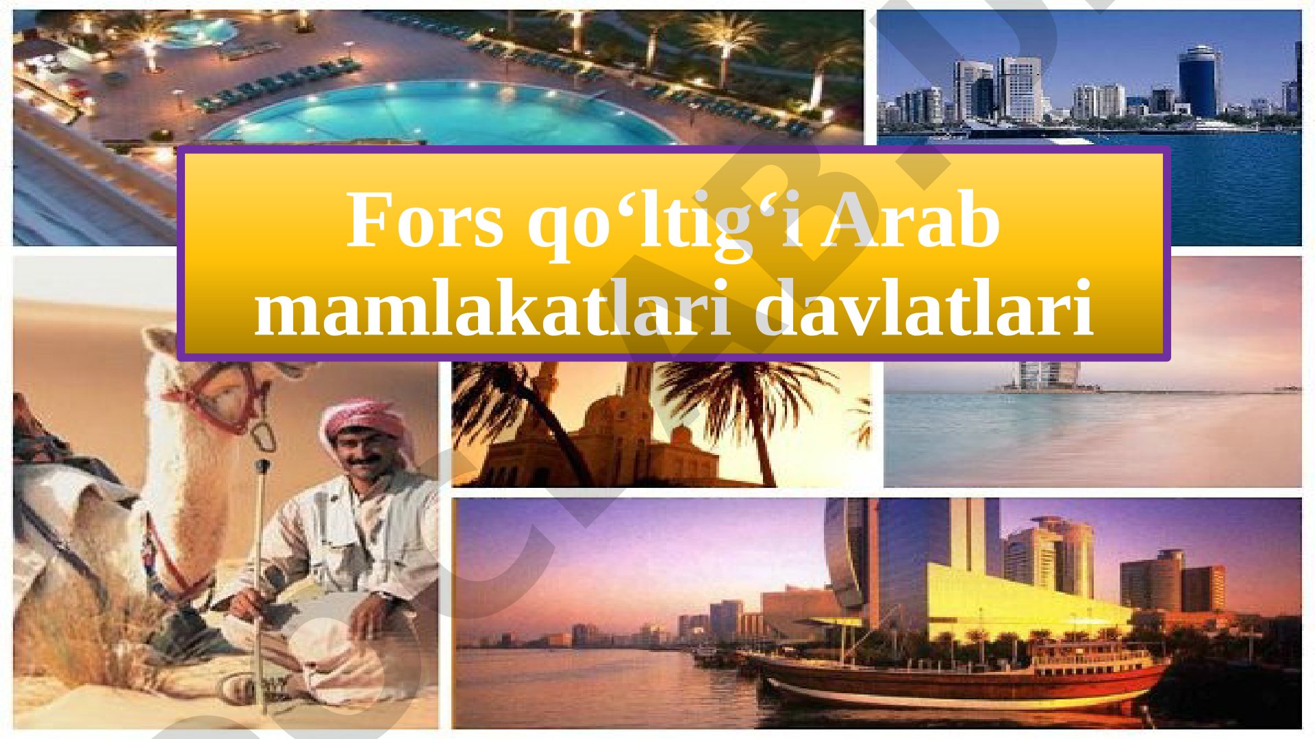 Fors qo'ltig'i Arab mamlakatlari davlatlari