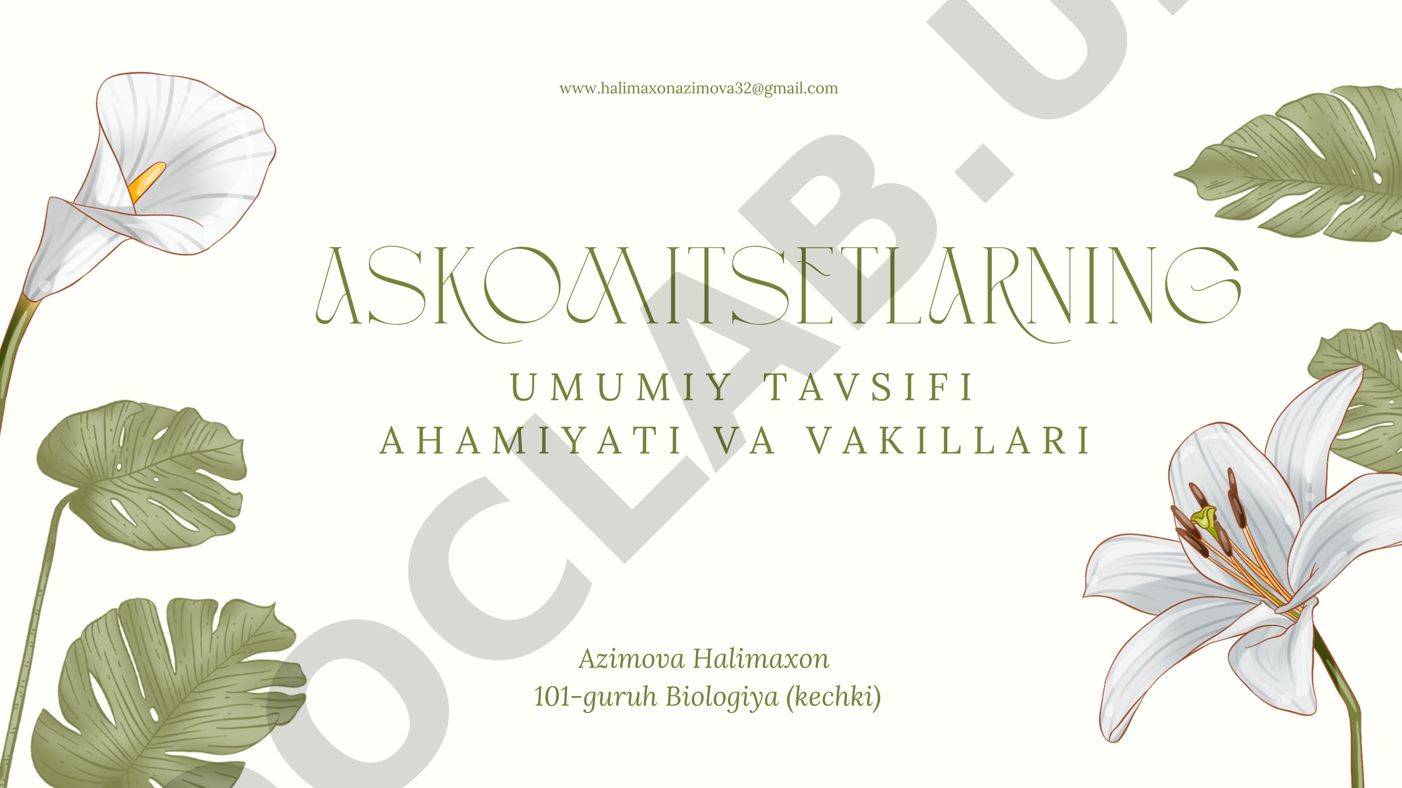 Askomitsetlarning umumiy tavsifi, ahamiyati va vakillari
