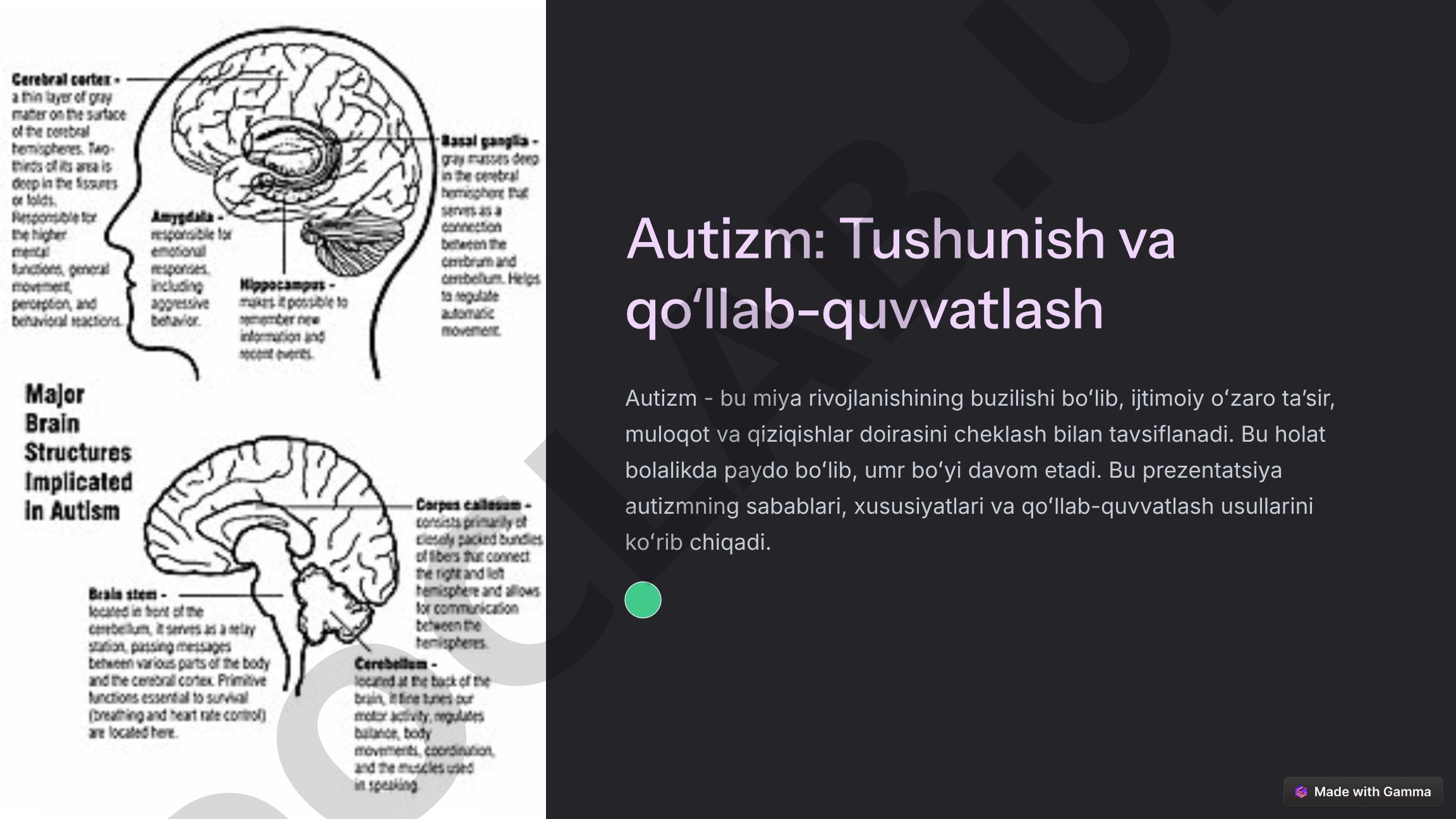 Autizm: Tushunish va qoʻllab-quvvatlash