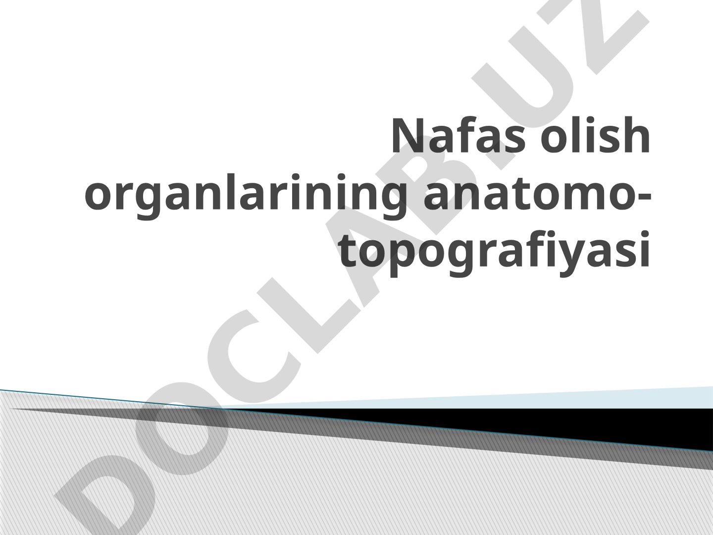 Nafas olish organlarining anatomo-topografiyasi