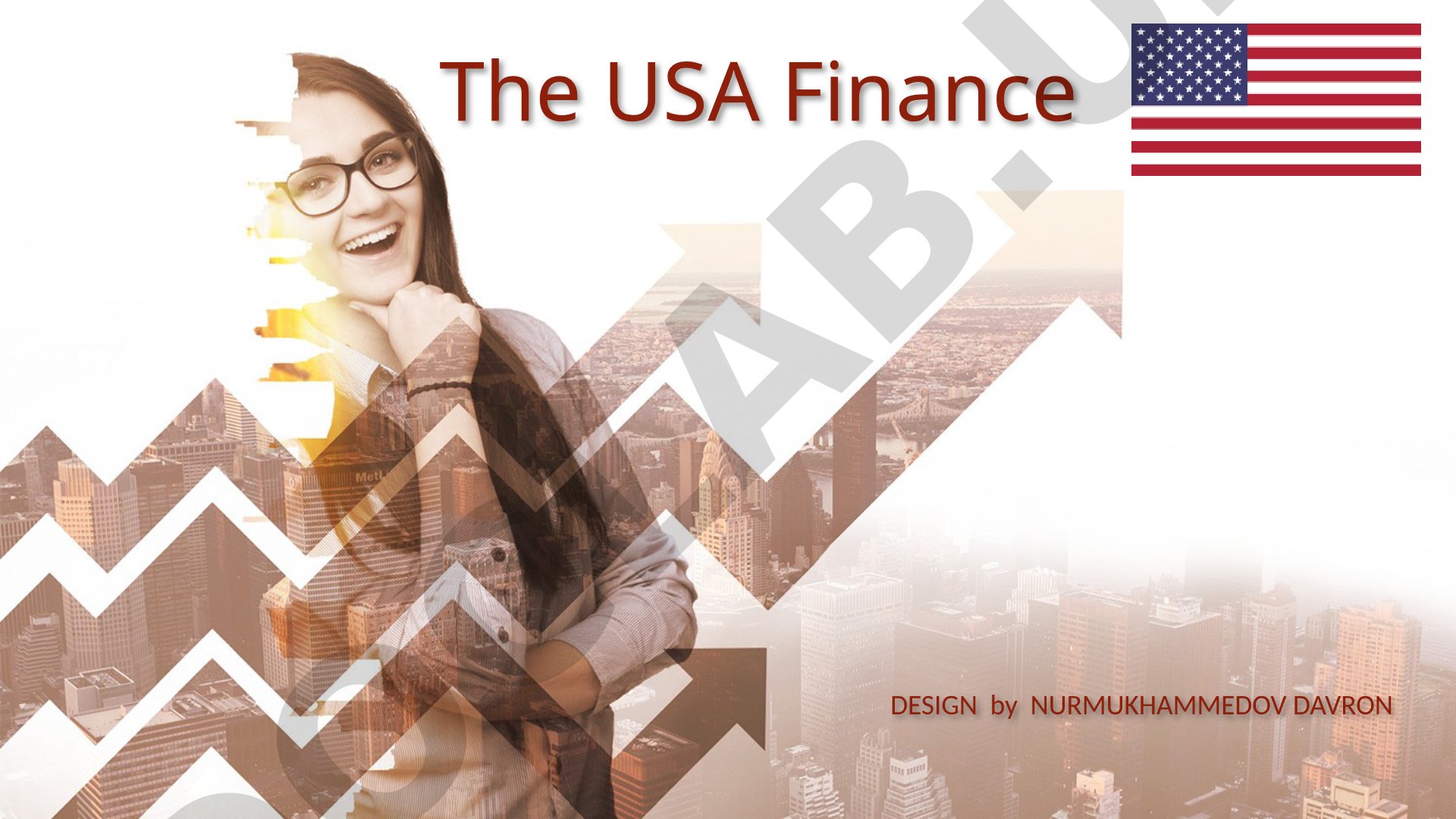The USA Finance