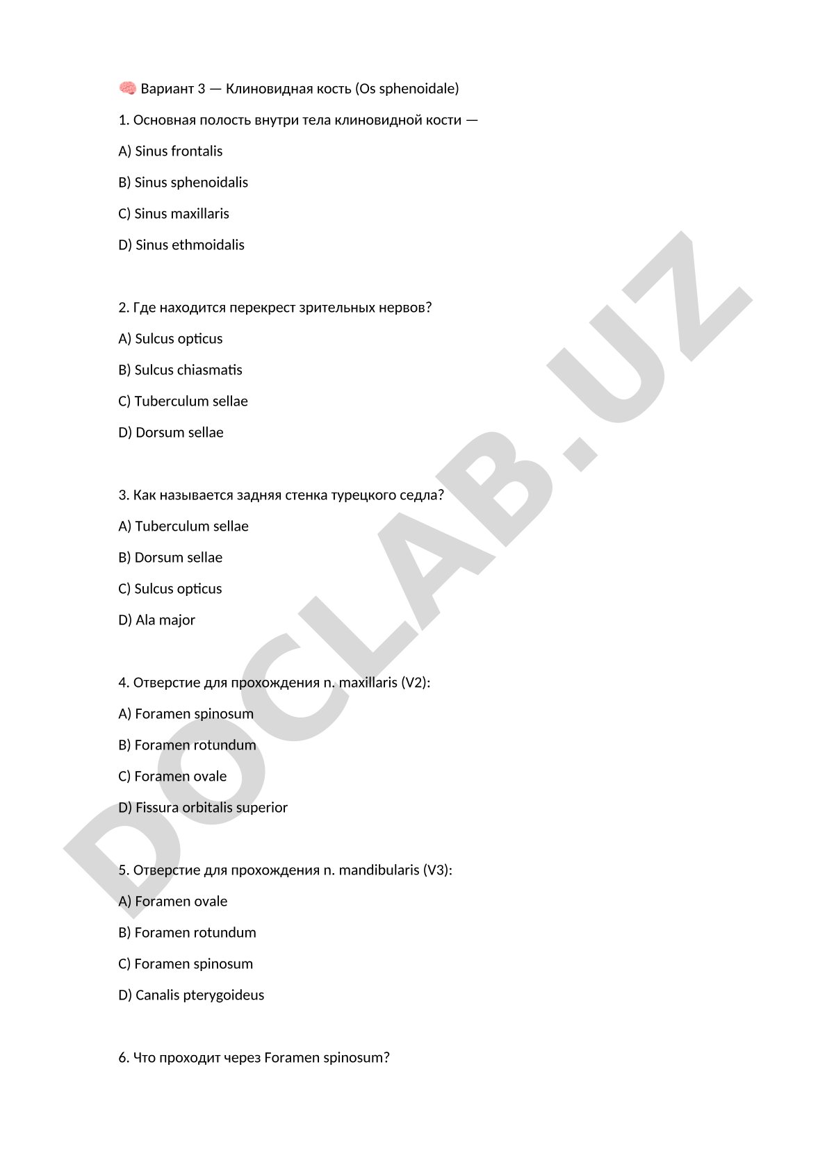 Вариант 3 — Клиновидная кость (Os sphenoidale)