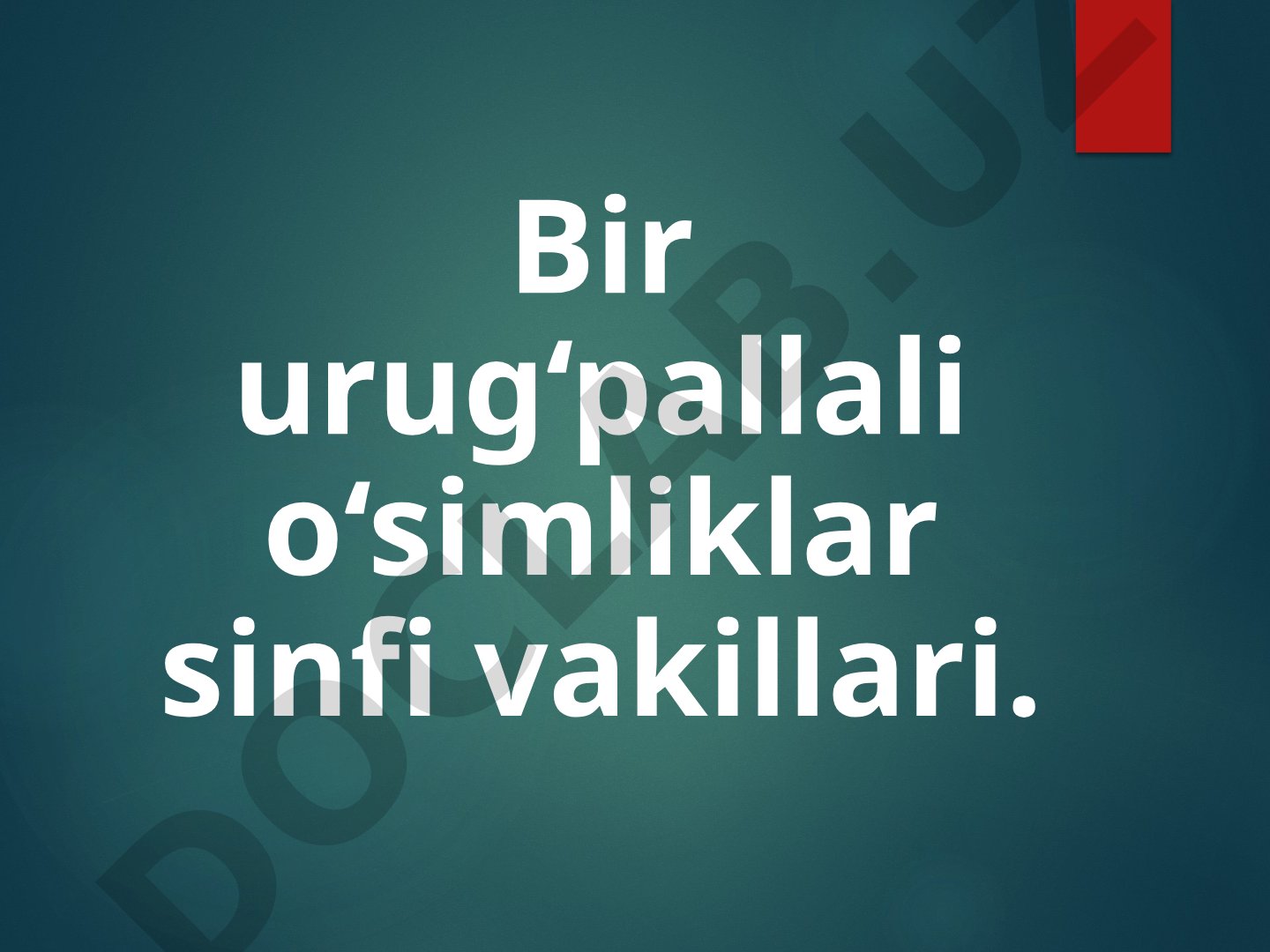 Bir urug‘pallali o‘simliklar sinfi vakillari