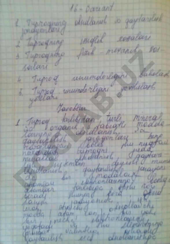 O'zbekiston Respublikasida turizm sohasining rivojlanishi va uning iqtisodiyotga ta'siri