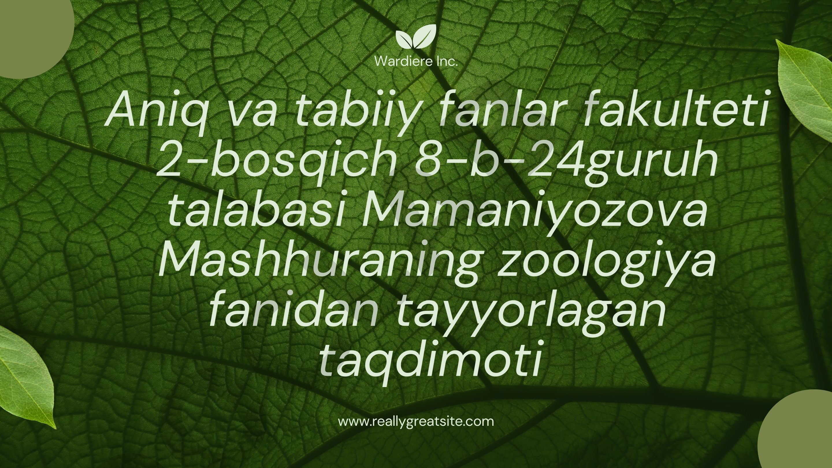 Sut emizuvchilar - mammalia sinfi. Sut emizuvchilar sestematikasi va kelib chiqishi