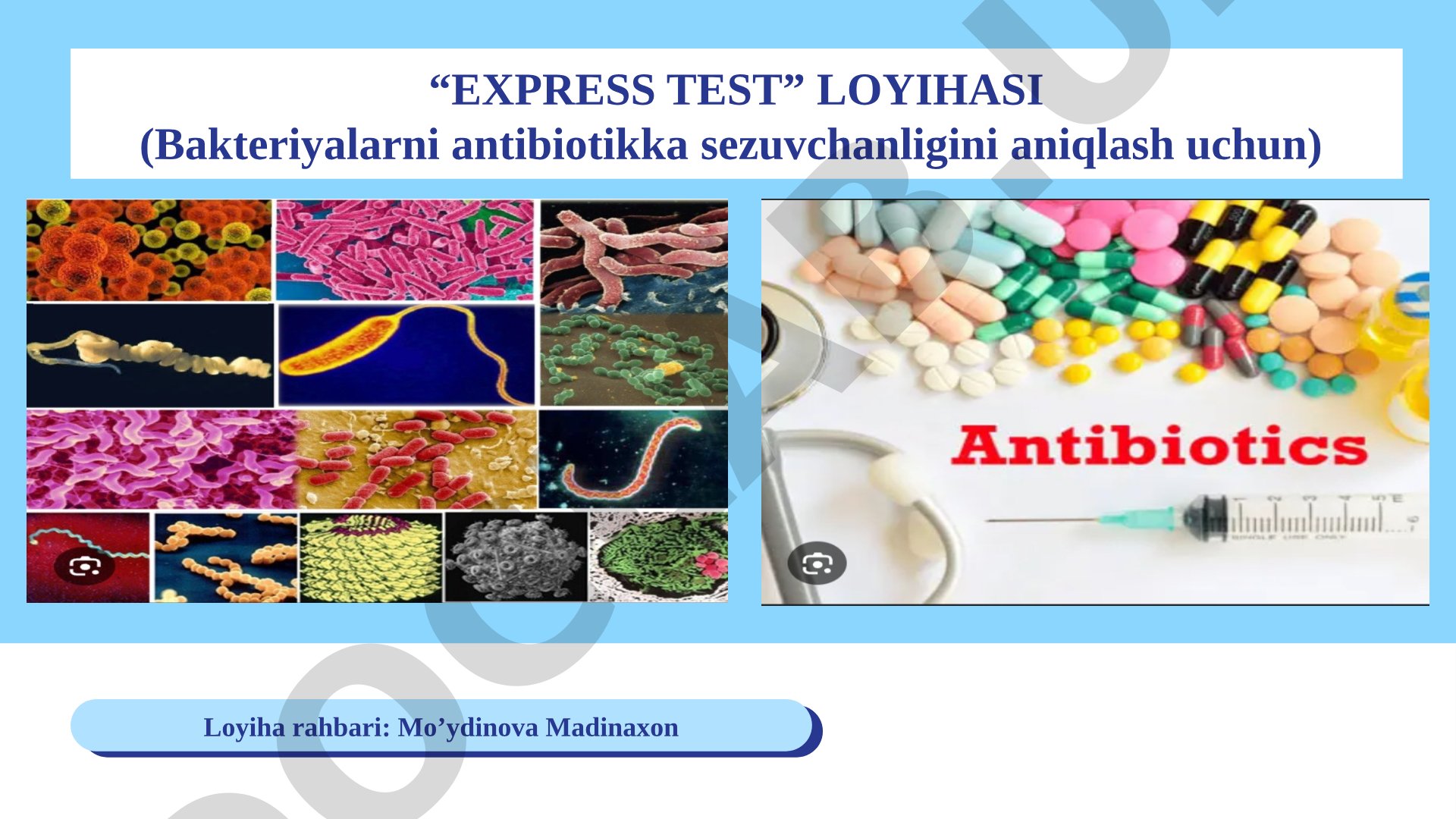 EXPRESS TEST loyihasi (Bakteriyalarni antibiotikka sezuvchanligini aniqlash uchun)