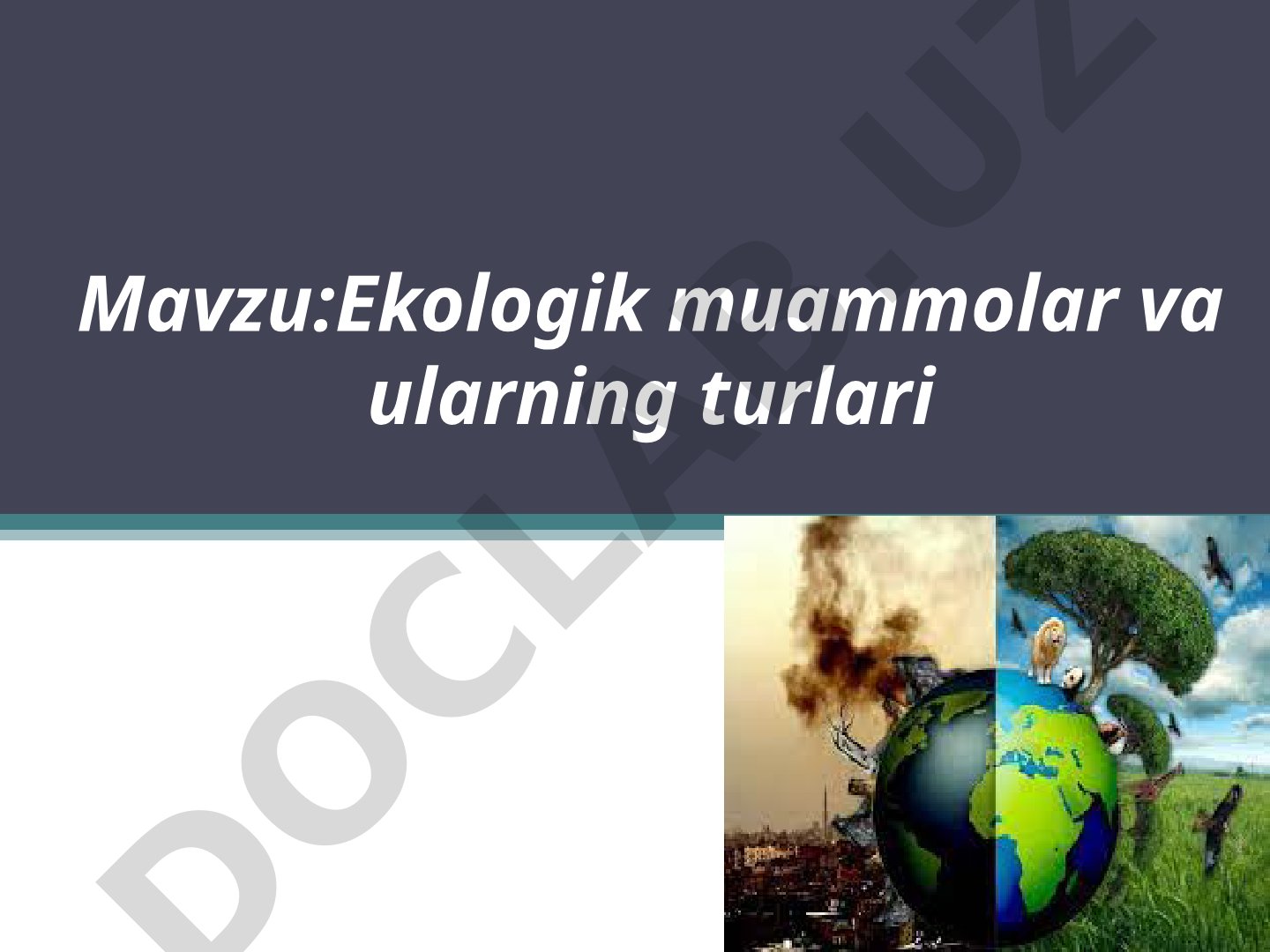 Ekologik muammolar va ularning turlari