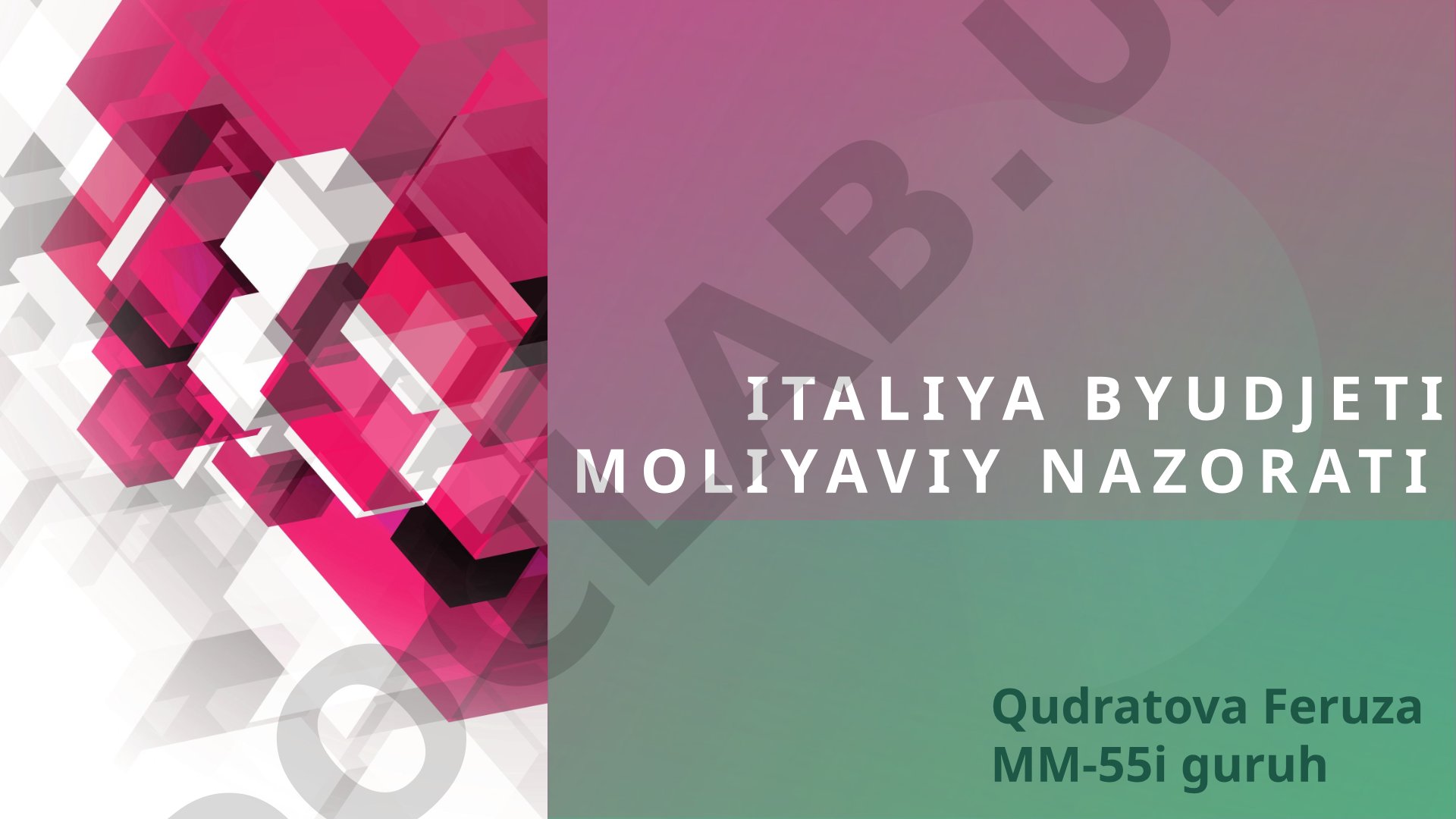 Italiya byudjeti moliyaviy Nazorati
