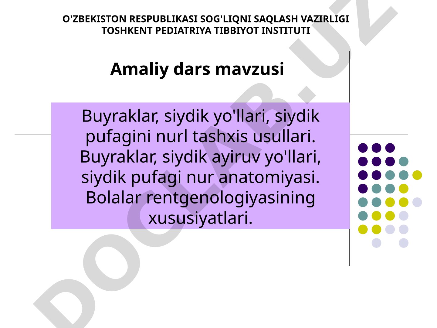 Buyraklar, siydik yo'llari, siydik pufagini nurl tashxis usullari