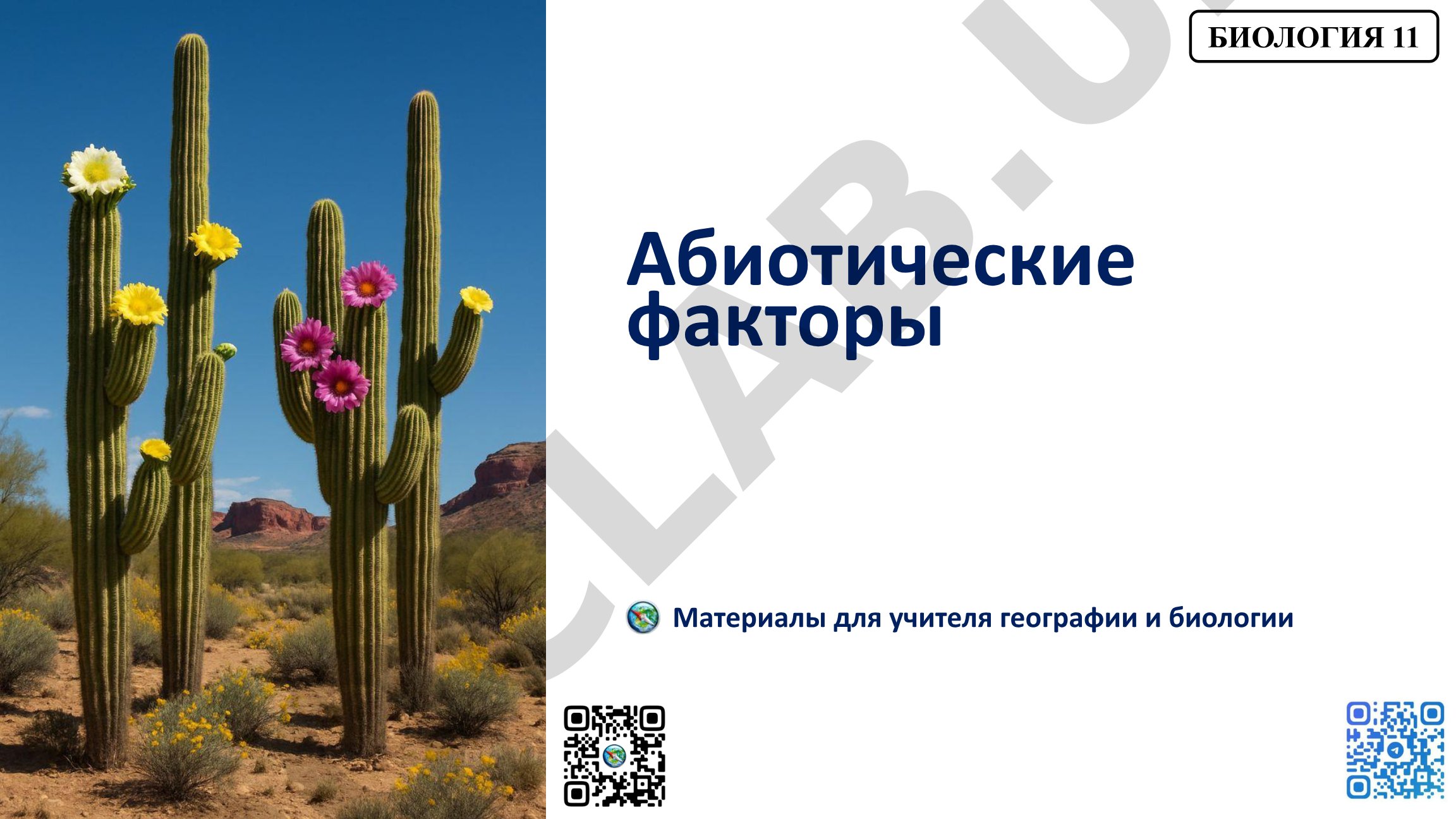 Абиотические факторы