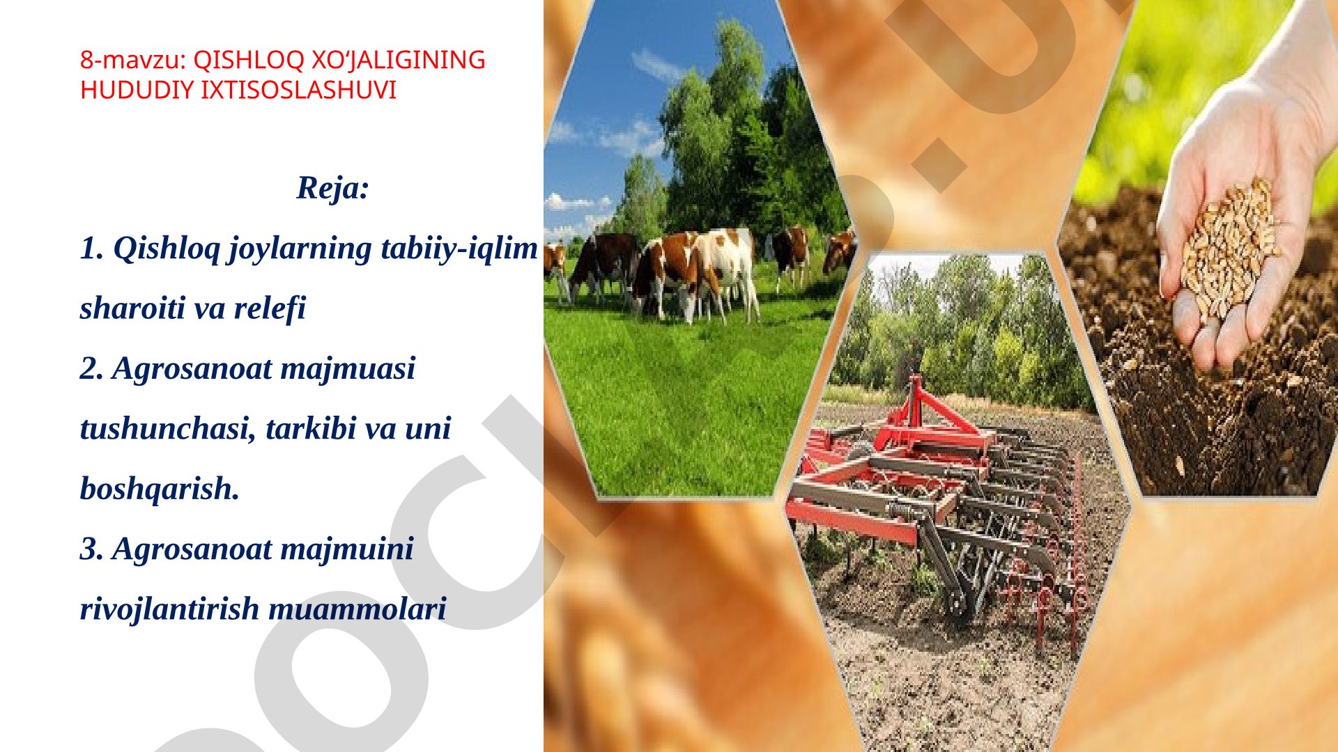 Qishloq xoʻjaligining hududiy ixtisoslashuvi