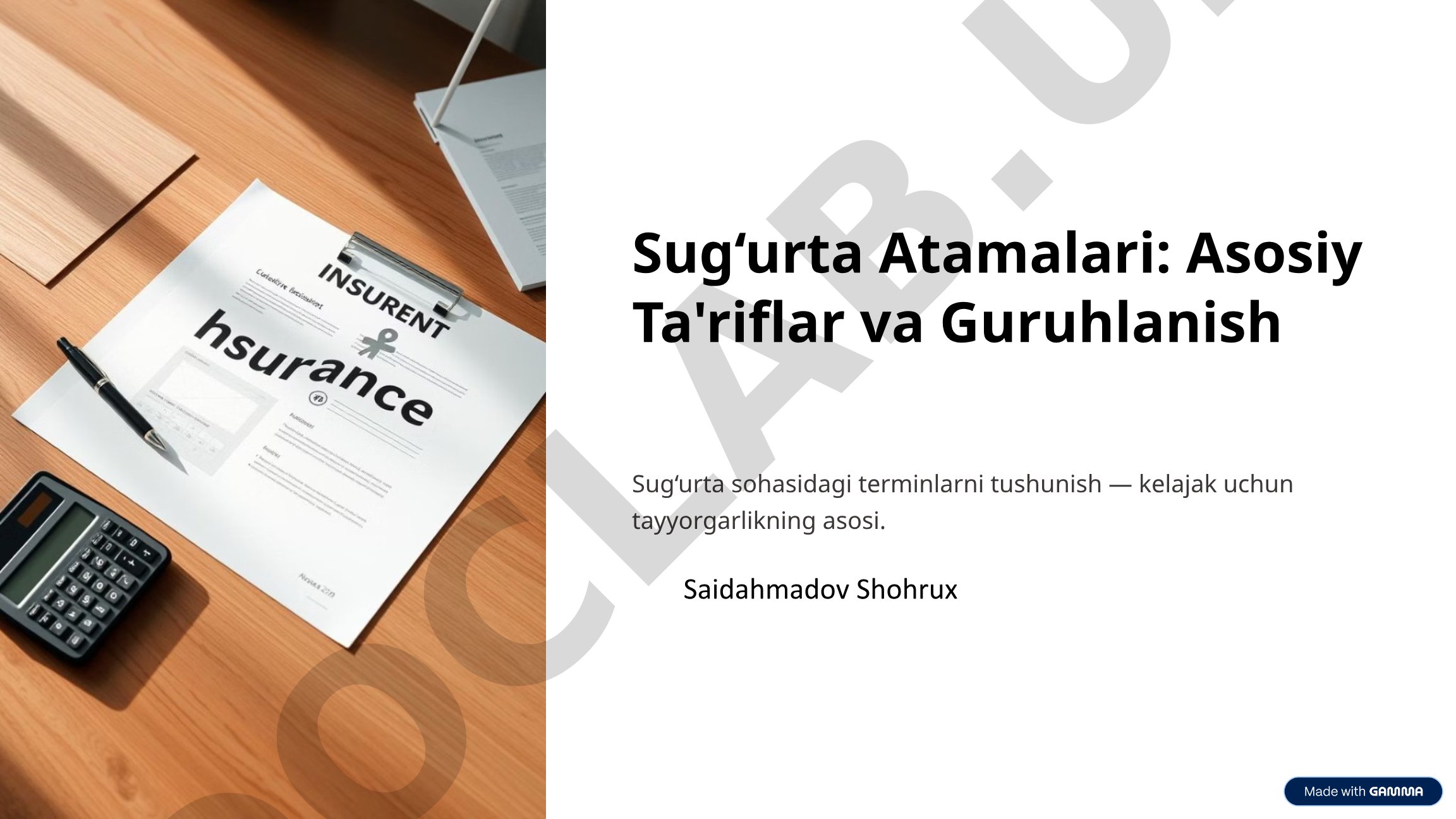Sug‘urta Atamalari: Asosiy Ta'riflar va Guruhlanish