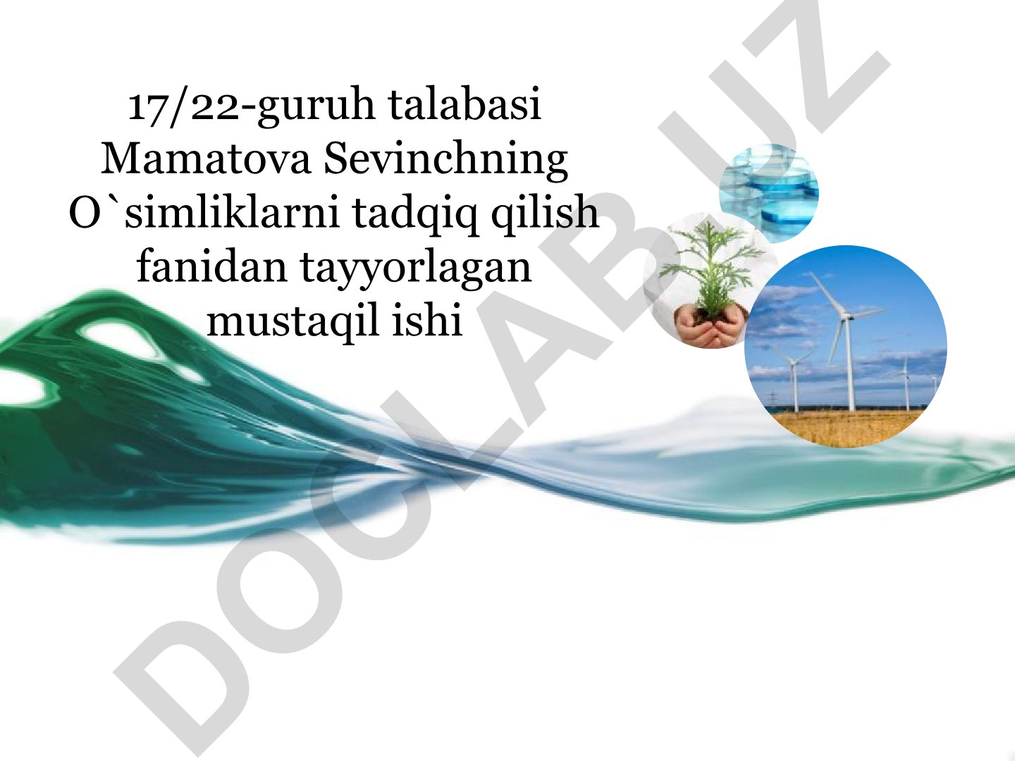 O'simlik navlari bilan tajriba qo'yish