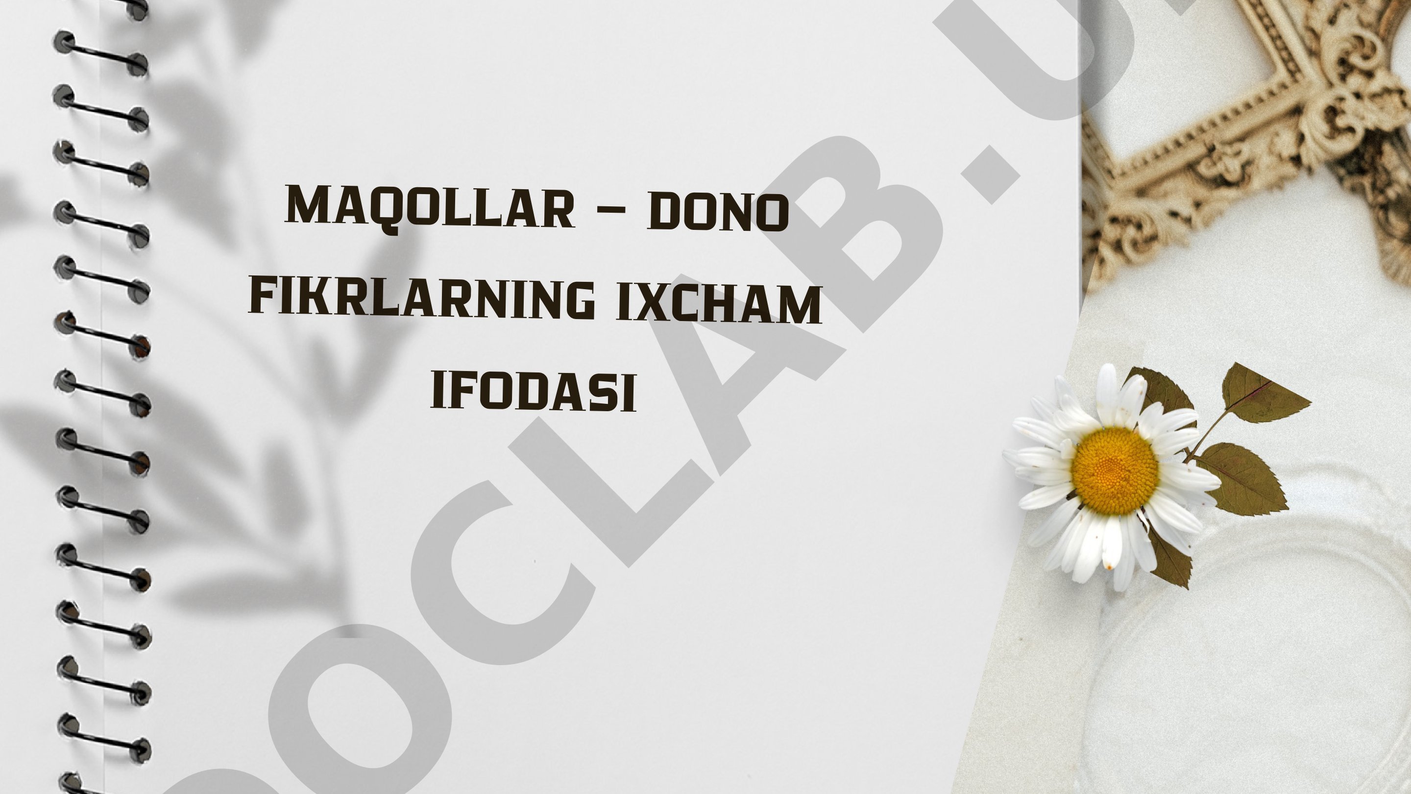 MAQOLLAR – DONO FIKRLARNING IXCHAM IFODASI
