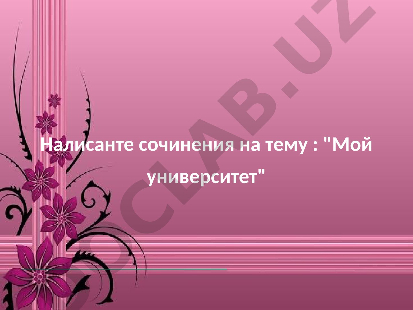 Мой университет
