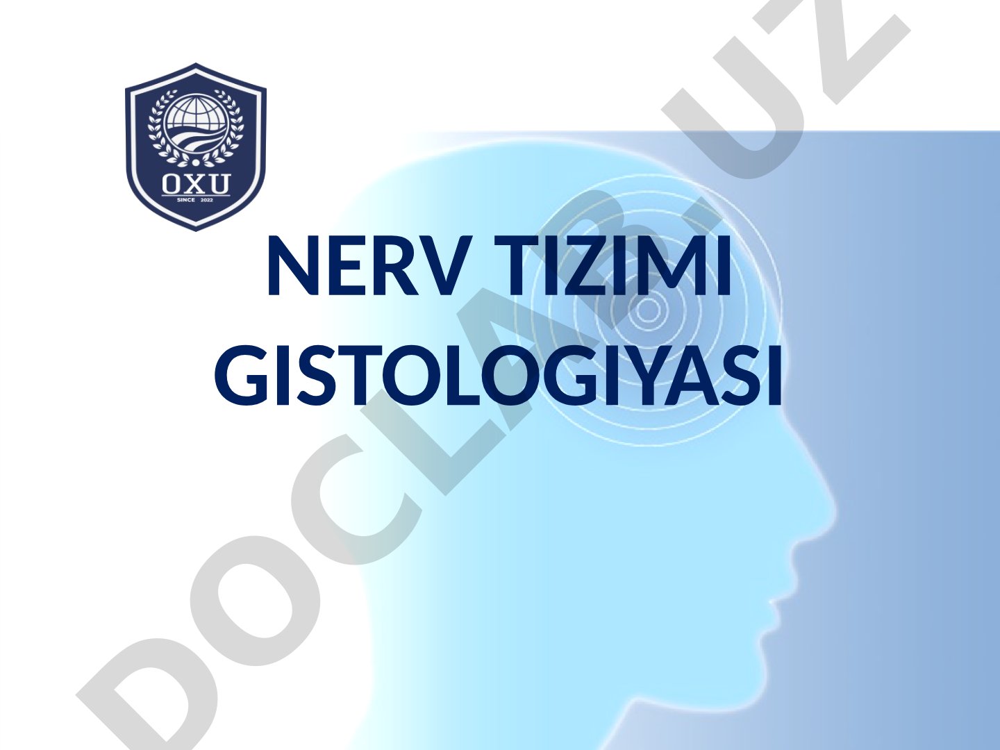 Nerv tizimi gistologiyasi