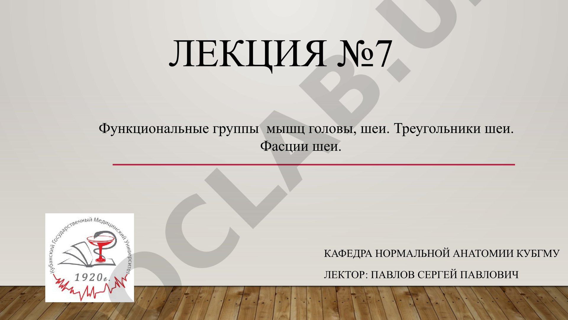 Функциональные группы мышц головы, шеи. Треугольники шеи. Фасции шеи.