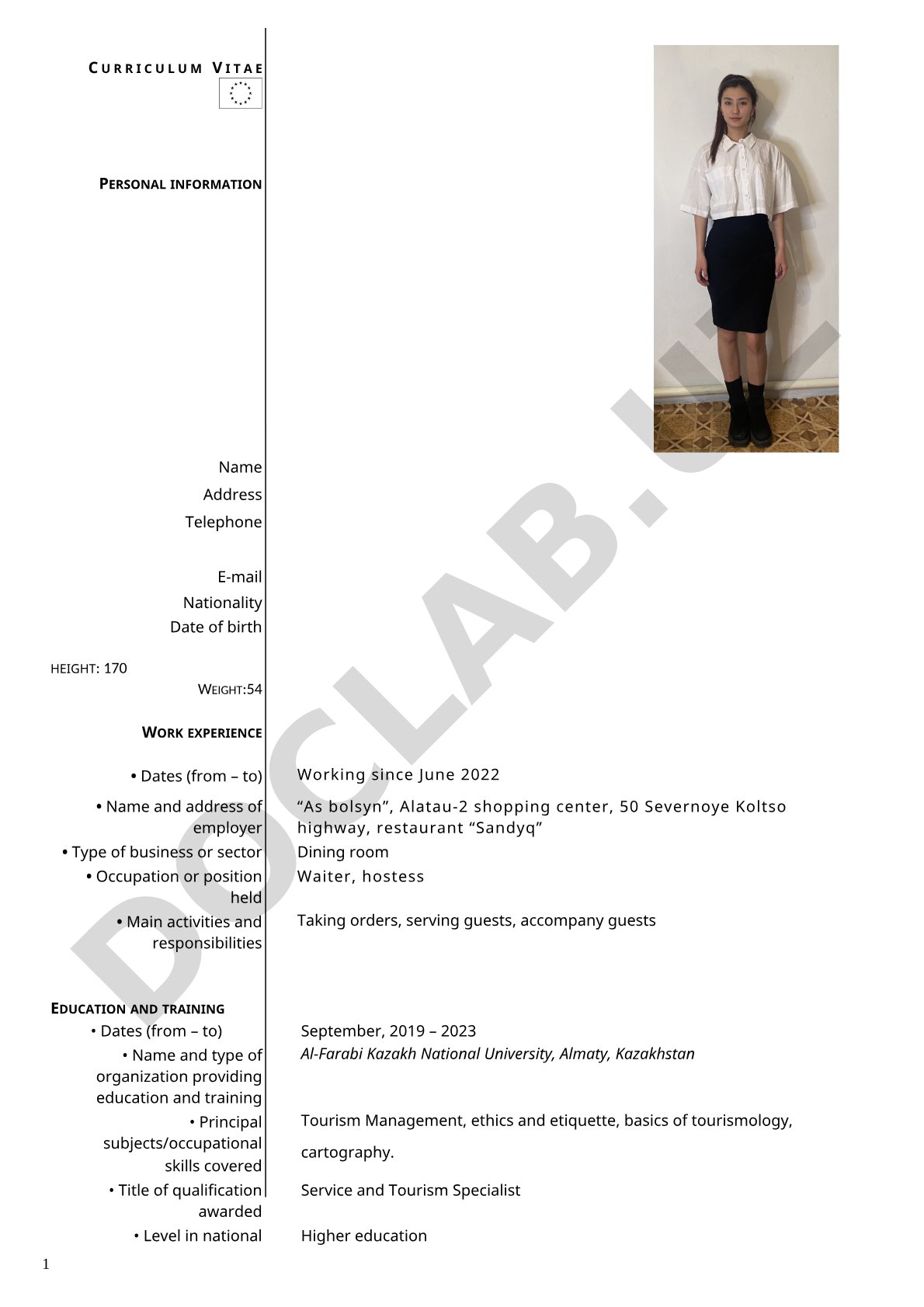Curriculum Vitae - Work Experience and Education