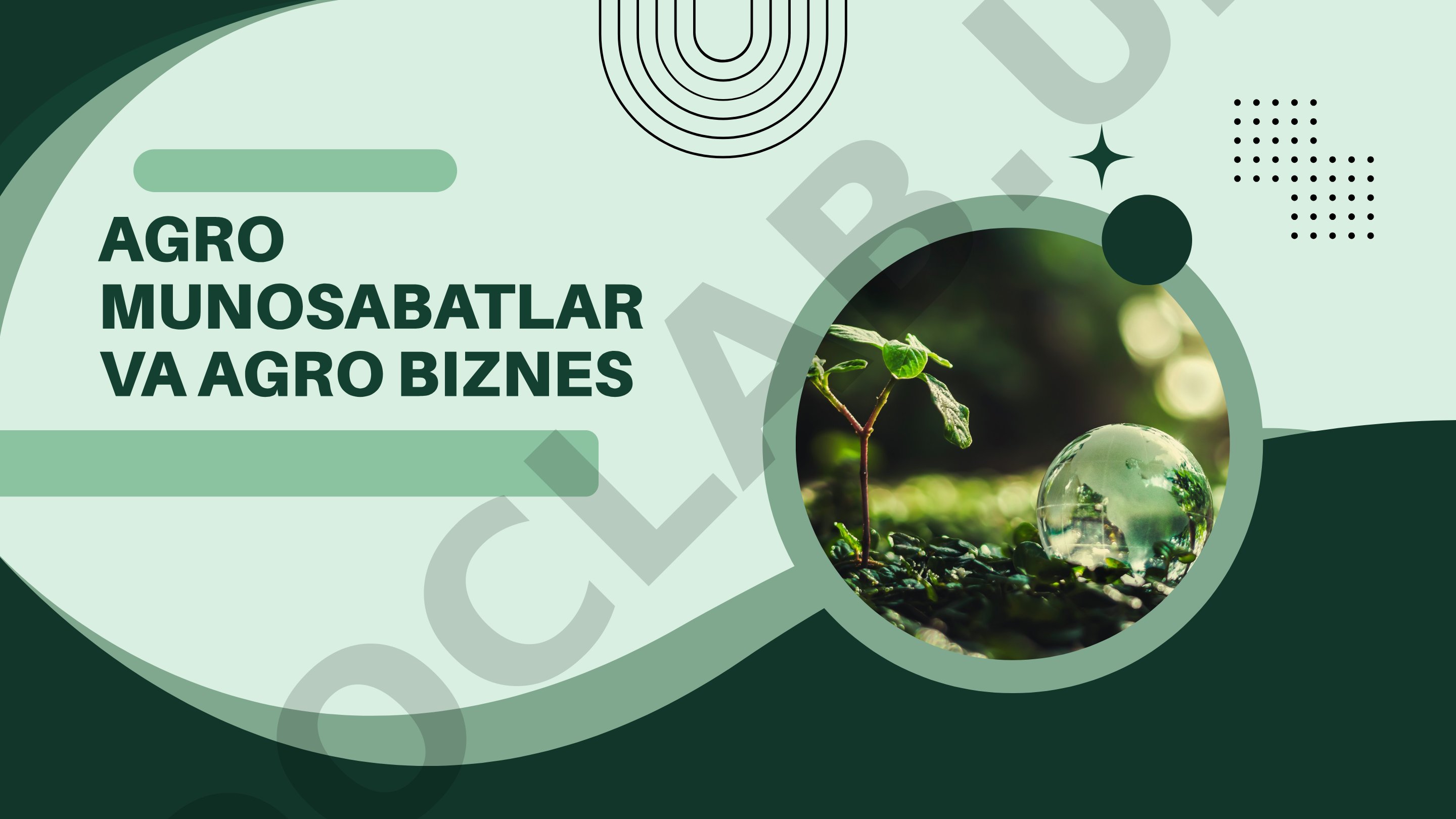 Agrar munosabatlar va agrobiznes reja
