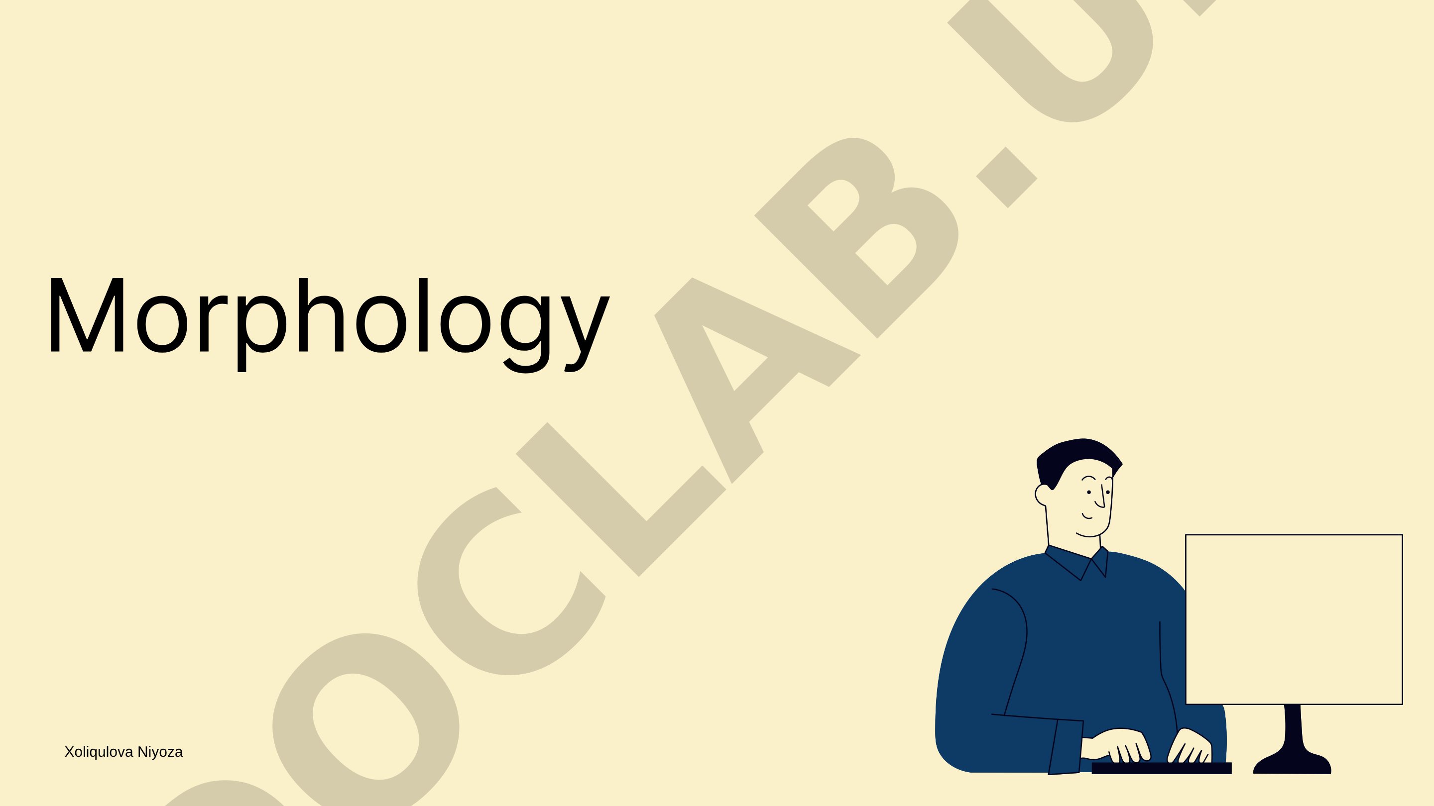 Overview of morphemes, their functions, and morphological word formation processes